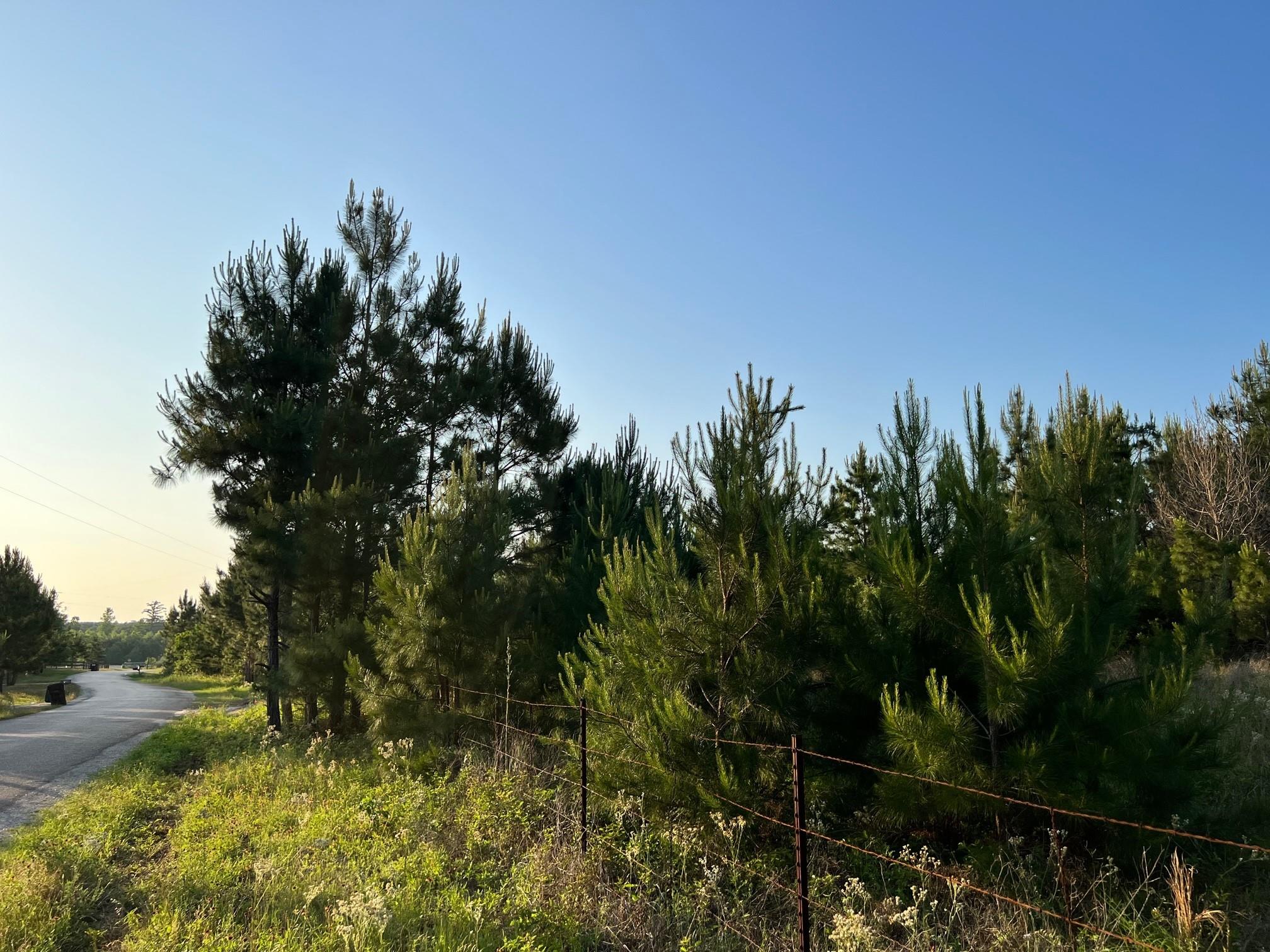 Lot 27 Kinsey Rd None Property Photo 10