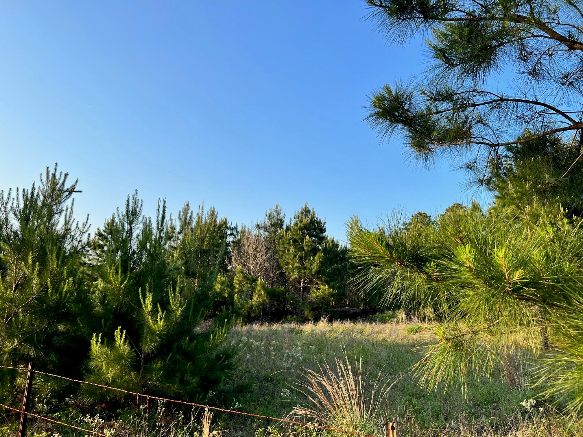 Lot 27 Kinsey Rd None Property Photo 11