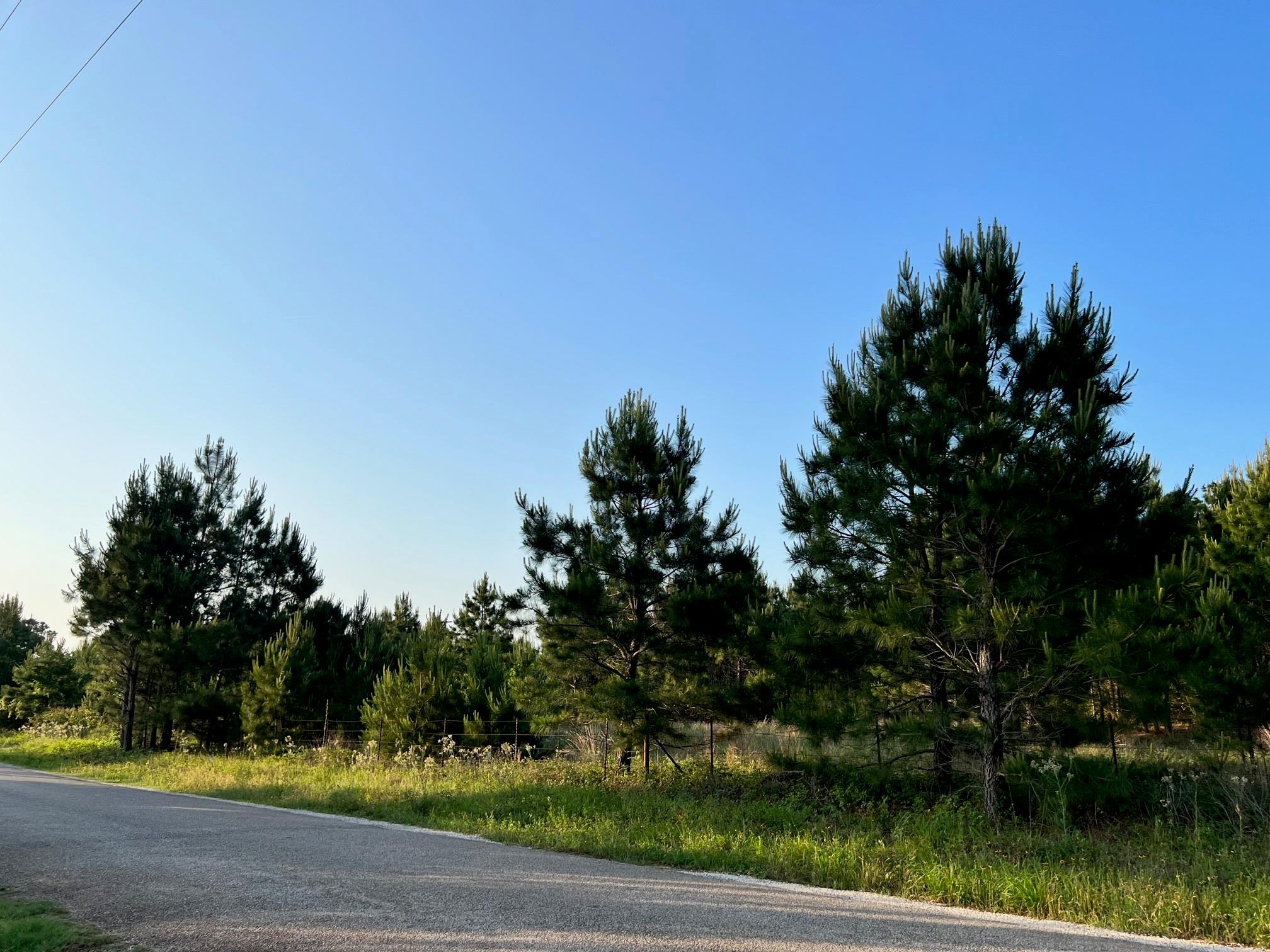 Lot 27 Kinsey Rd None Property Photo 12