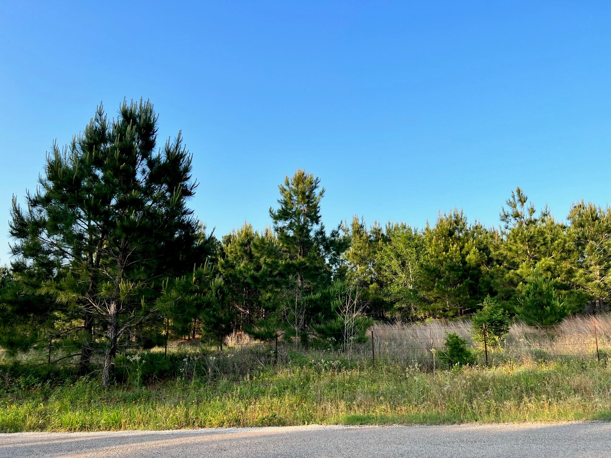 Lot 27 Kinsey Rd None Property Photo 13