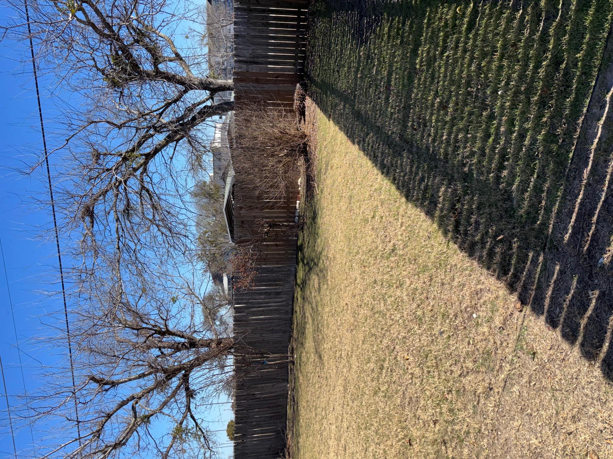 1403 Haley Gray Dr Property Photo 32