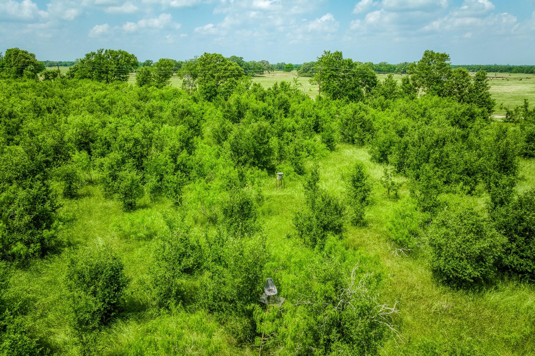 10396 County Road 276 Land Property Photo