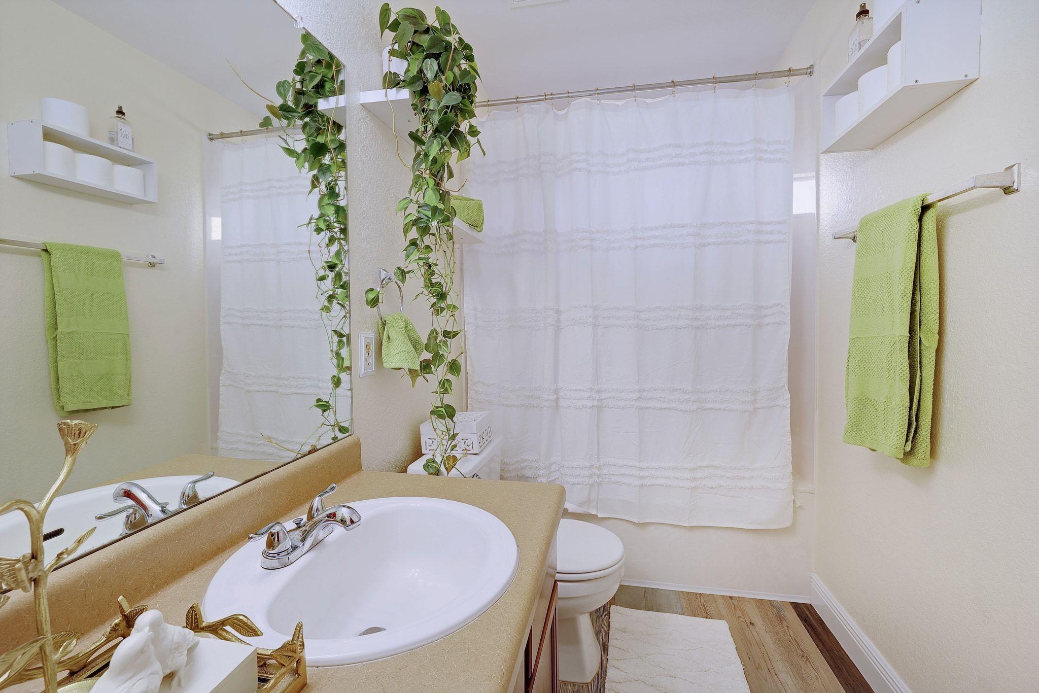 3613 Bach Dr Property Photo 19
