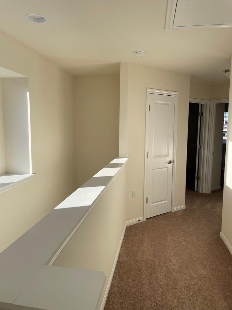 9610 Morning Iris Dr Property Photo 19