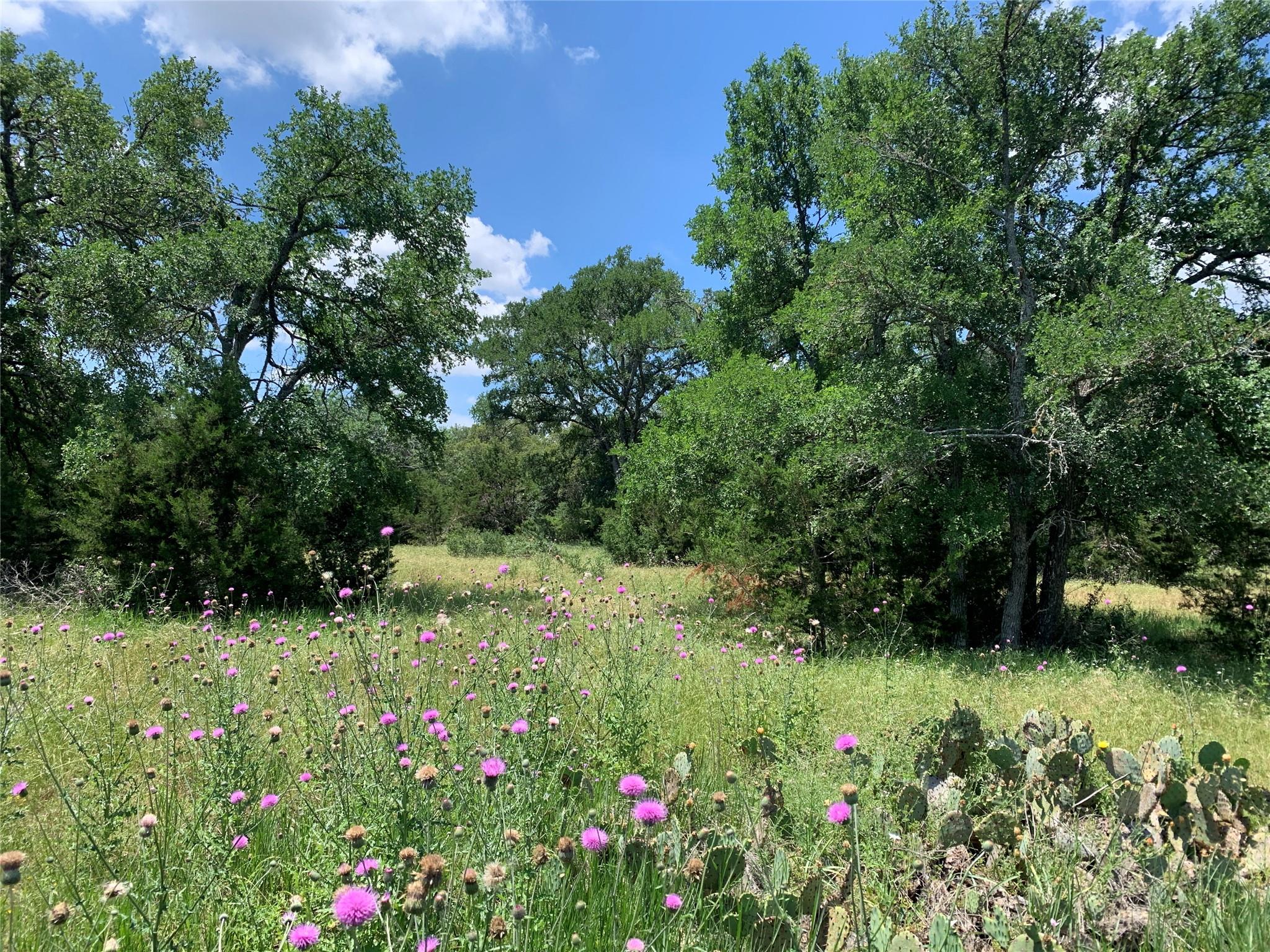 Tbd Trautwein Rd Property Photo 3
