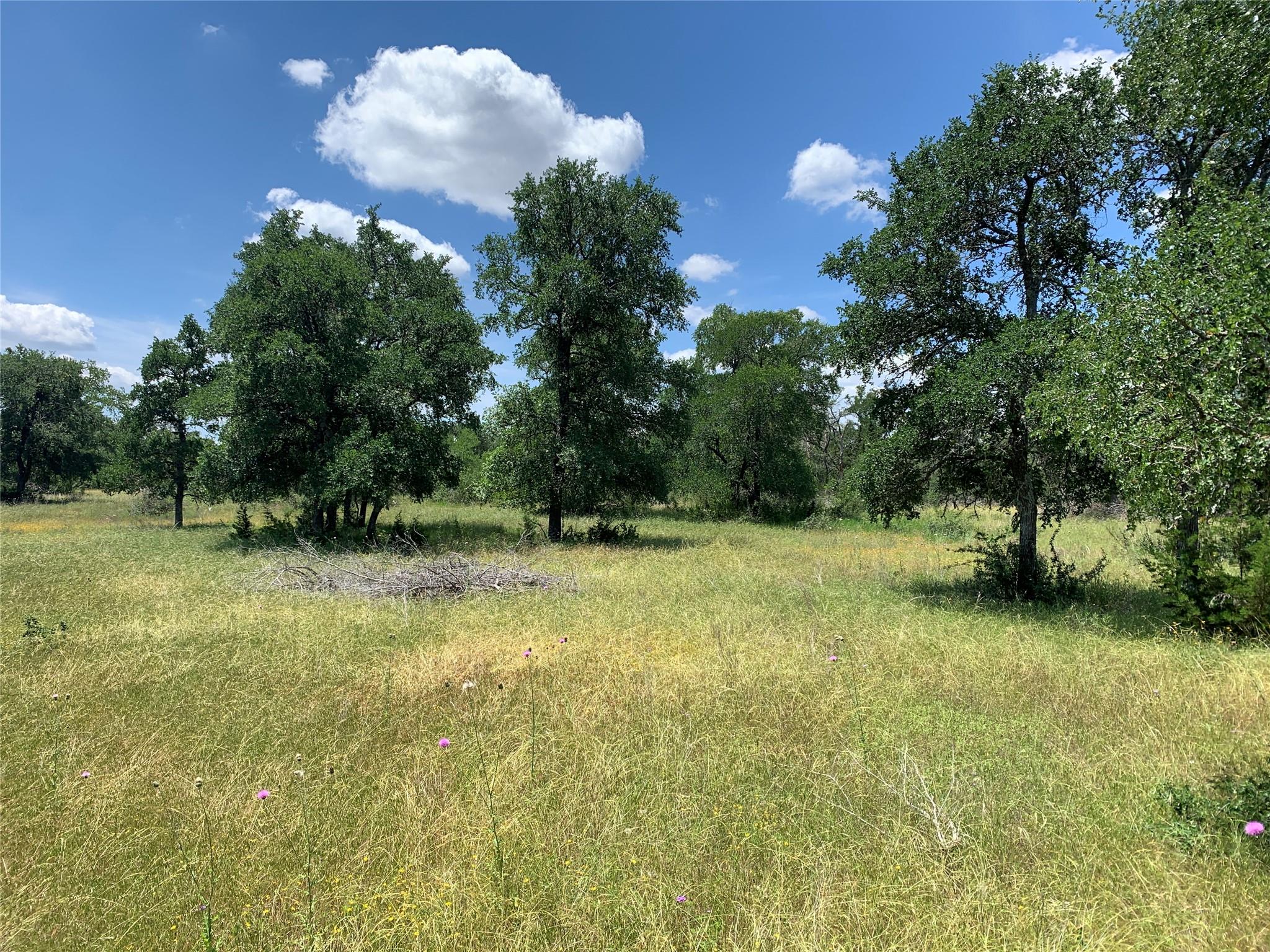 Tbd Trautwein Rd Property Photo 4