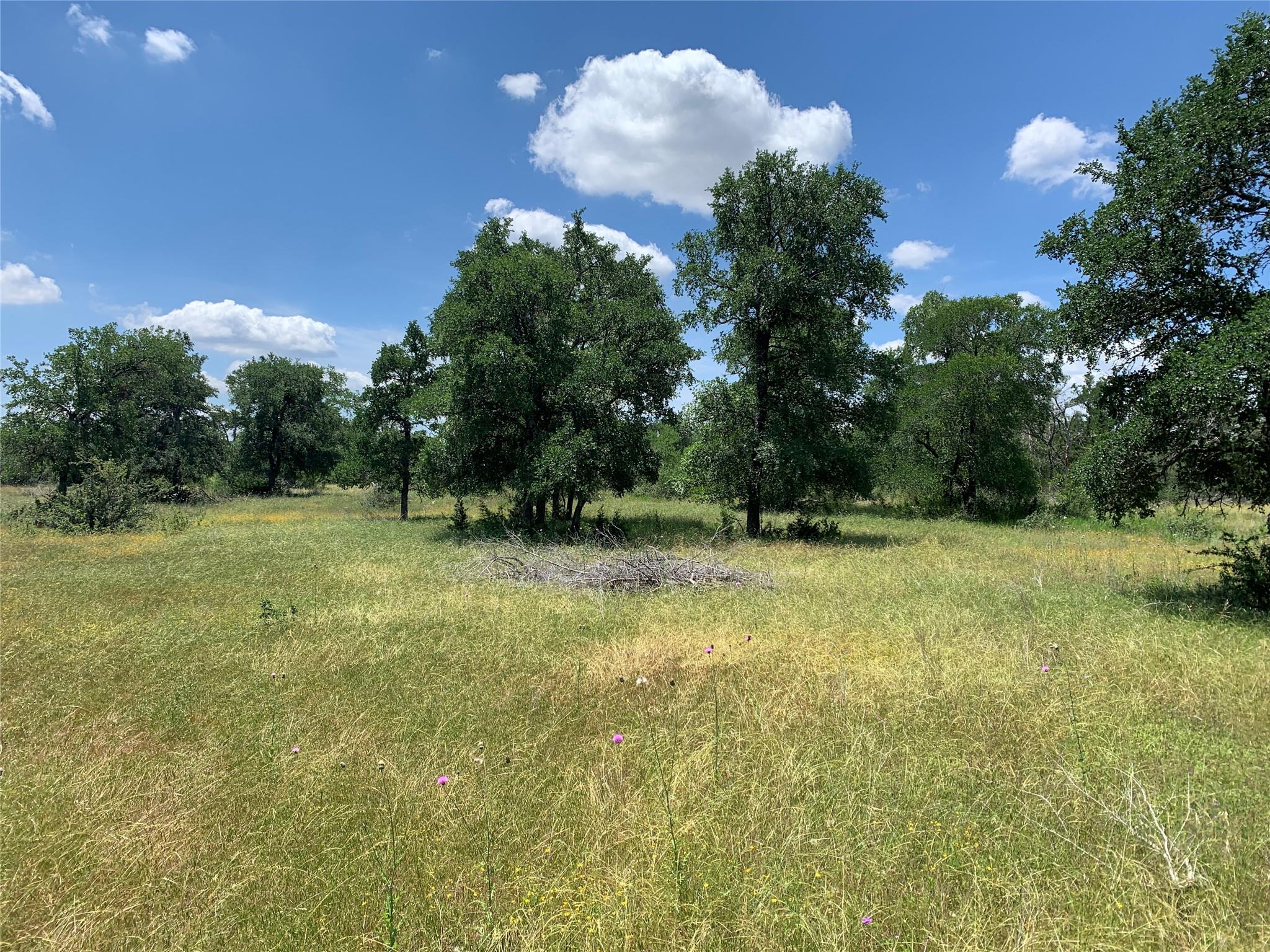 Tbd Trautwein Rd Property Photo 9
