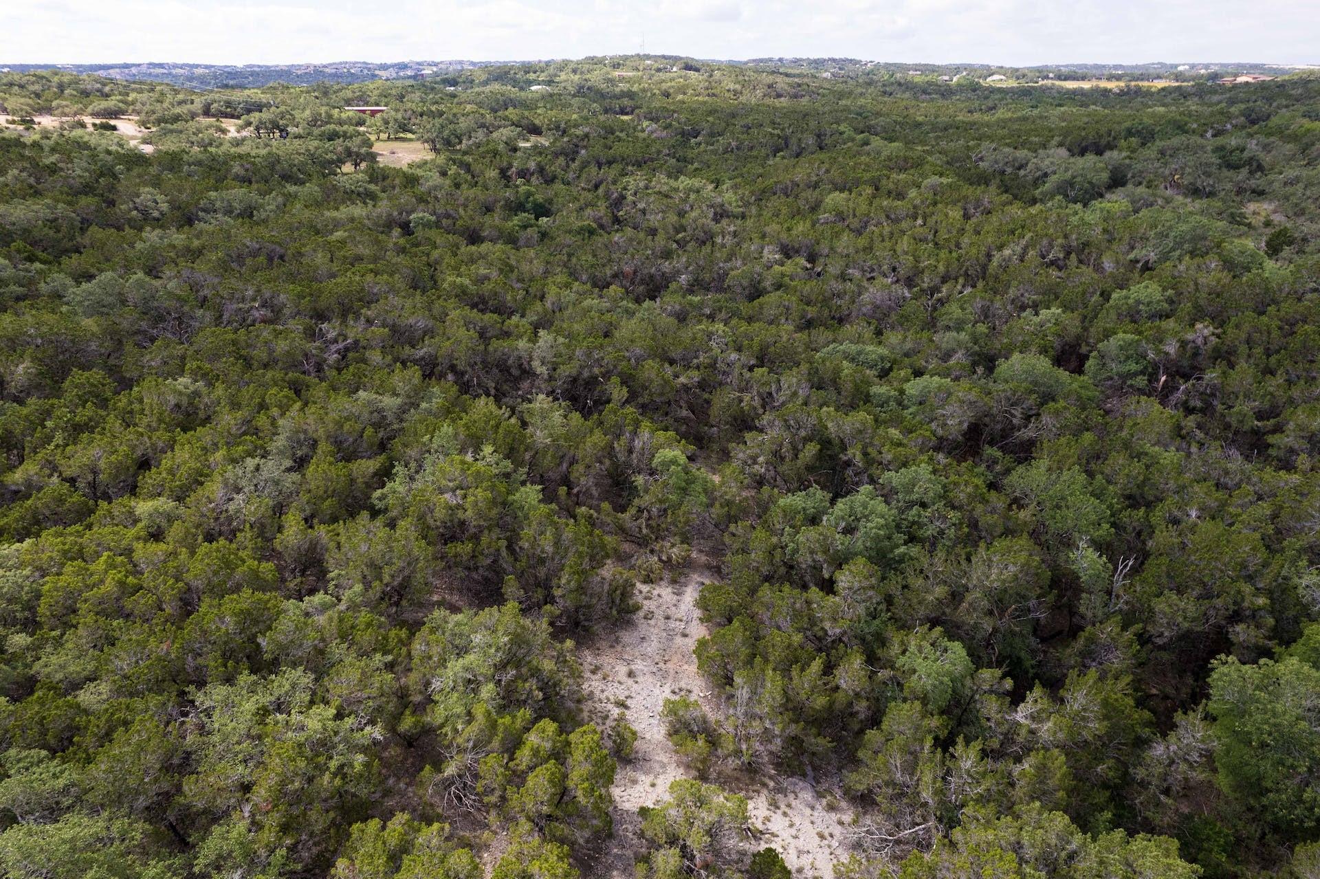 Tbd Trautwein Rd Property Photo 19