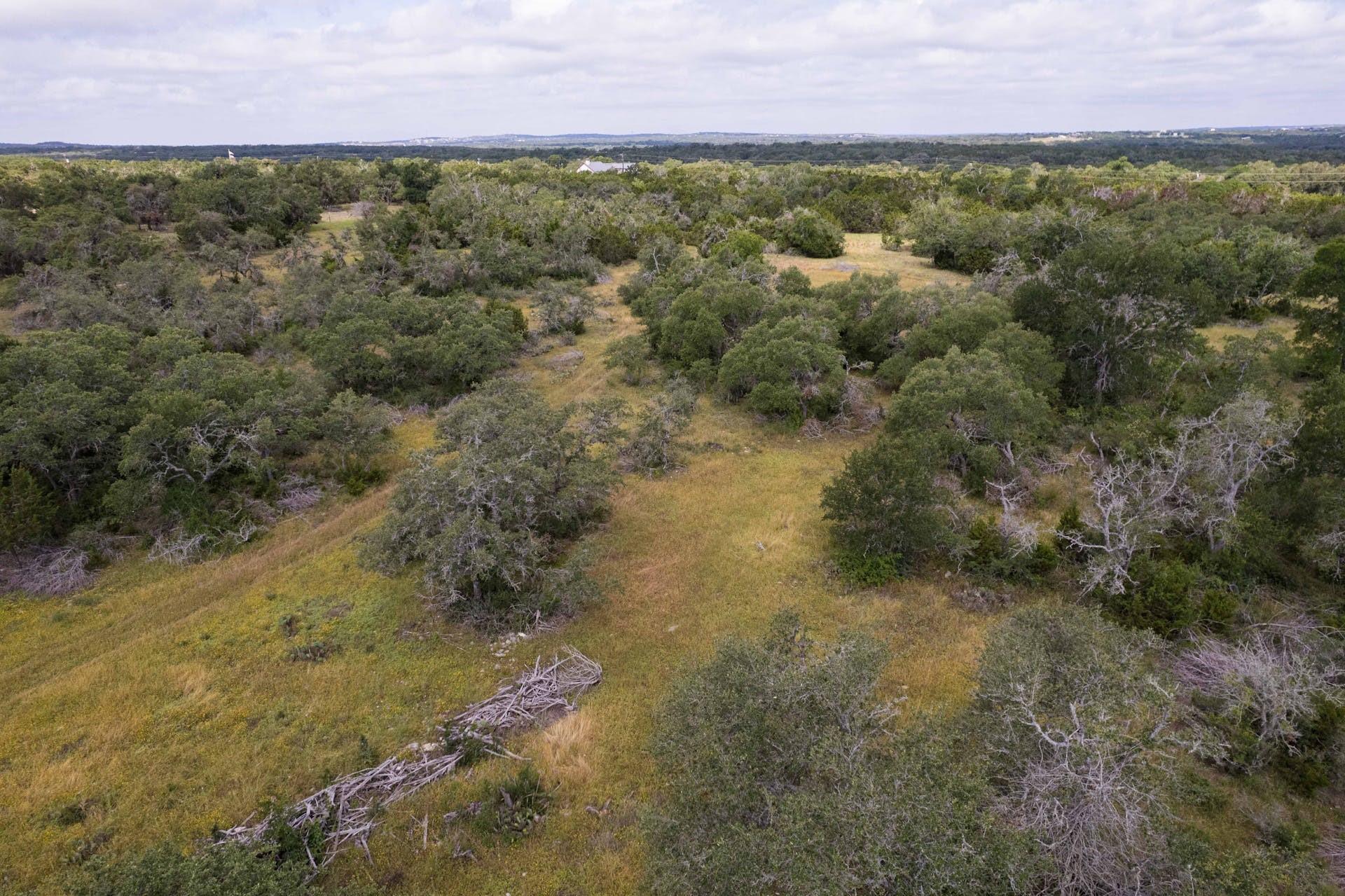 Tbd Trautwein Rd Property Photo 22