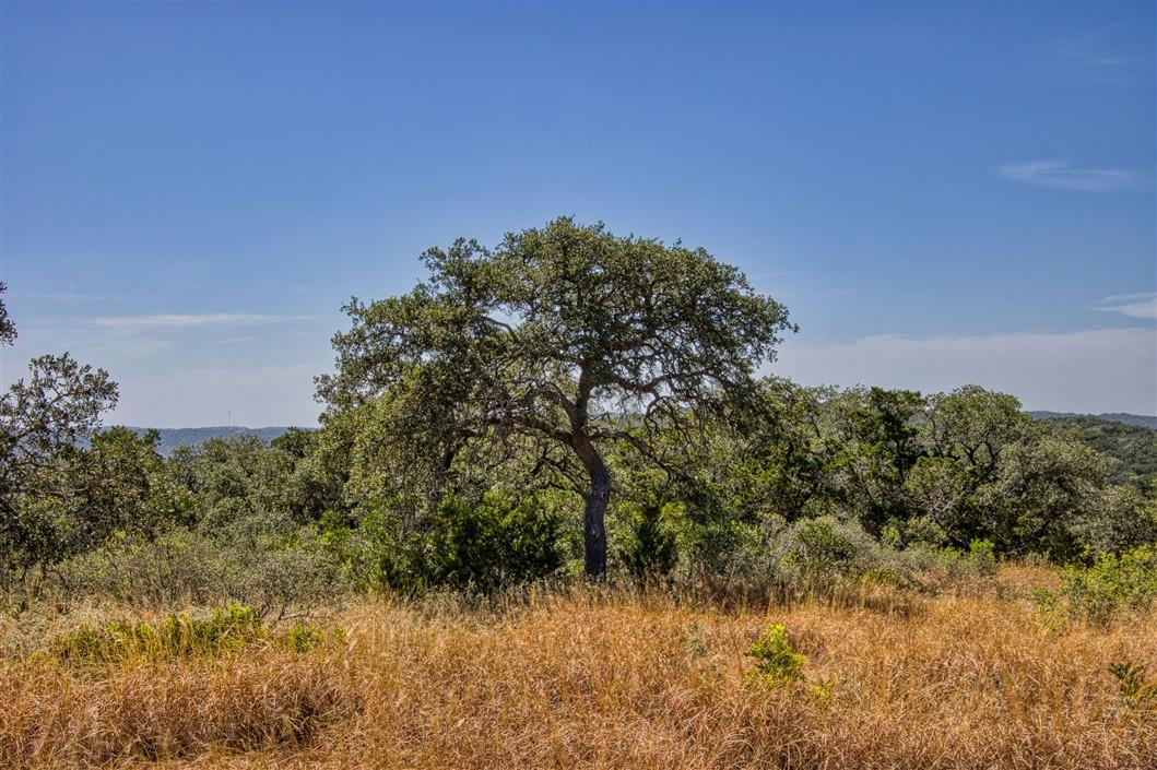 1316 Indian Creek Rd Property Photo 18