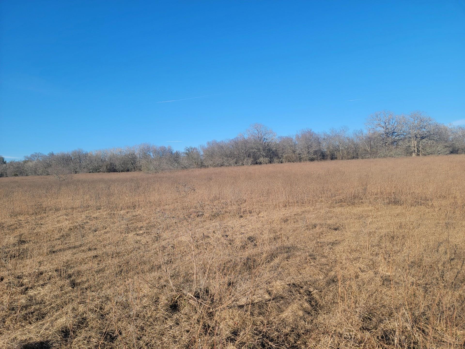 Tbd County Road 458a Rd Property Photo 2