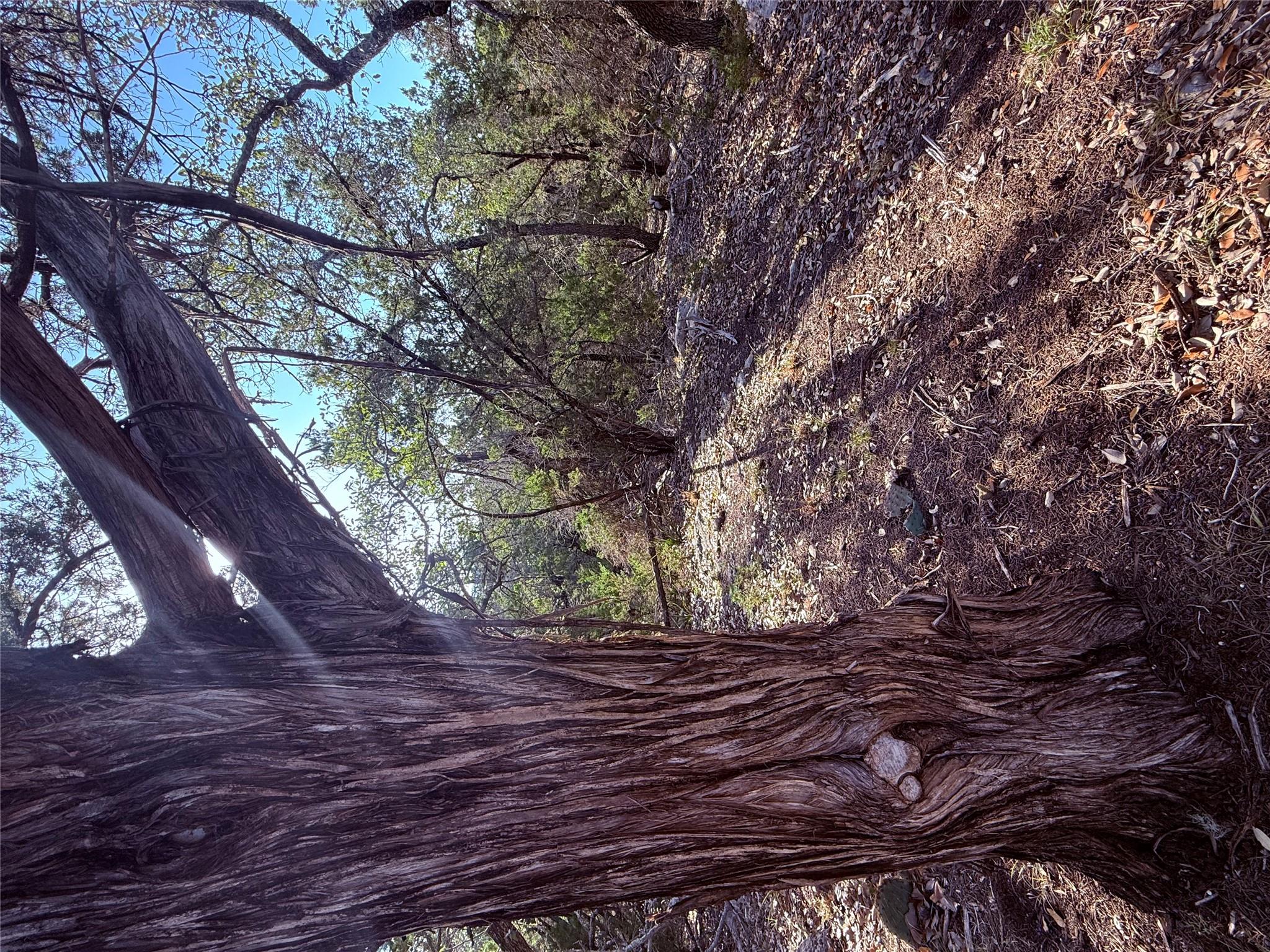3600 Stagecoach Ranch Loop Property Photo 3
