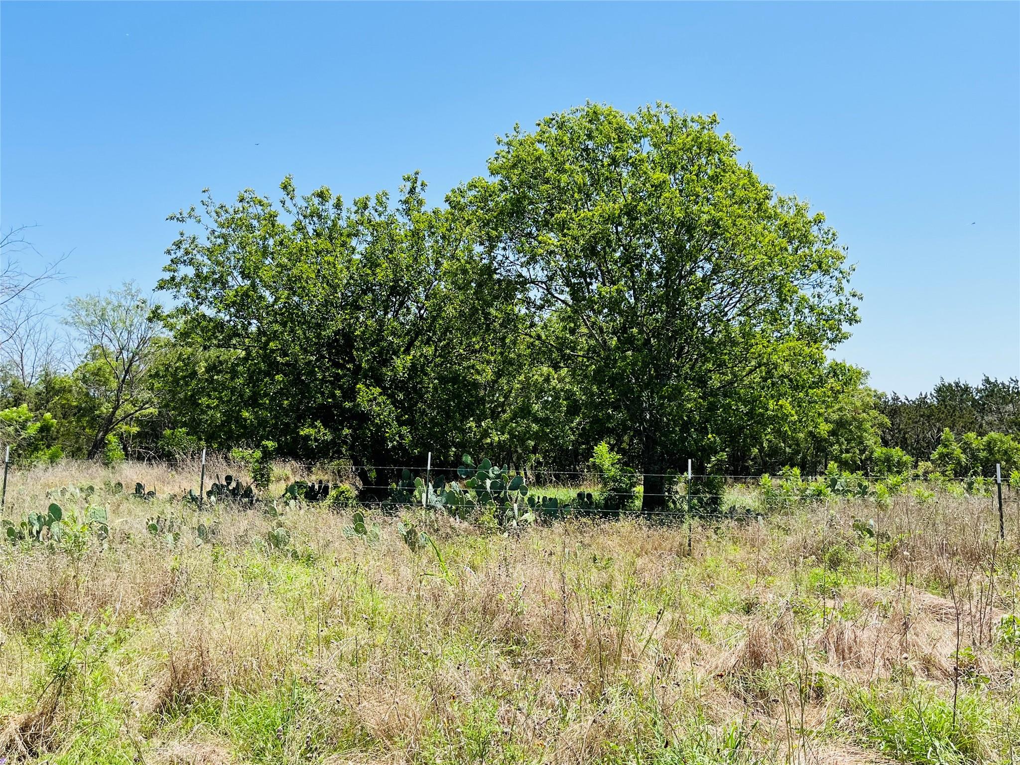 TBD FM 243 None Property Photo 1