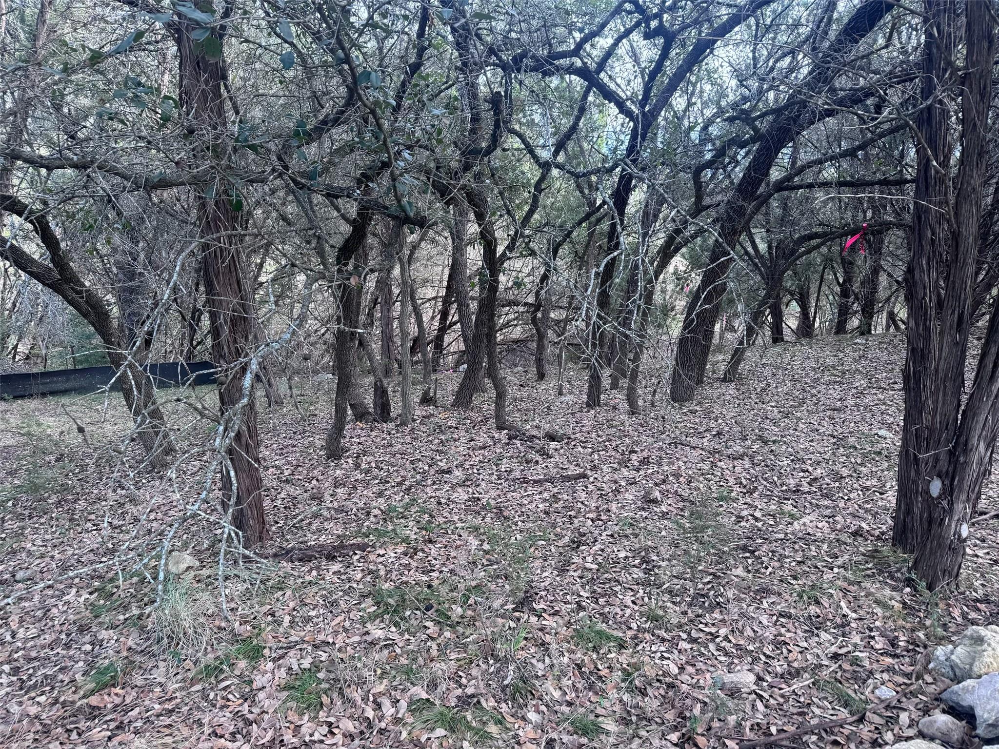 1803 Lipan Trl Property Photo 2