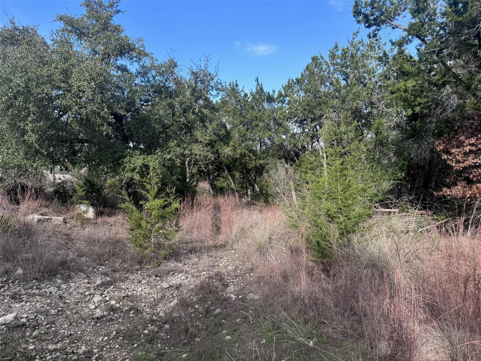 1803 Lipan Trl Property Photo 3