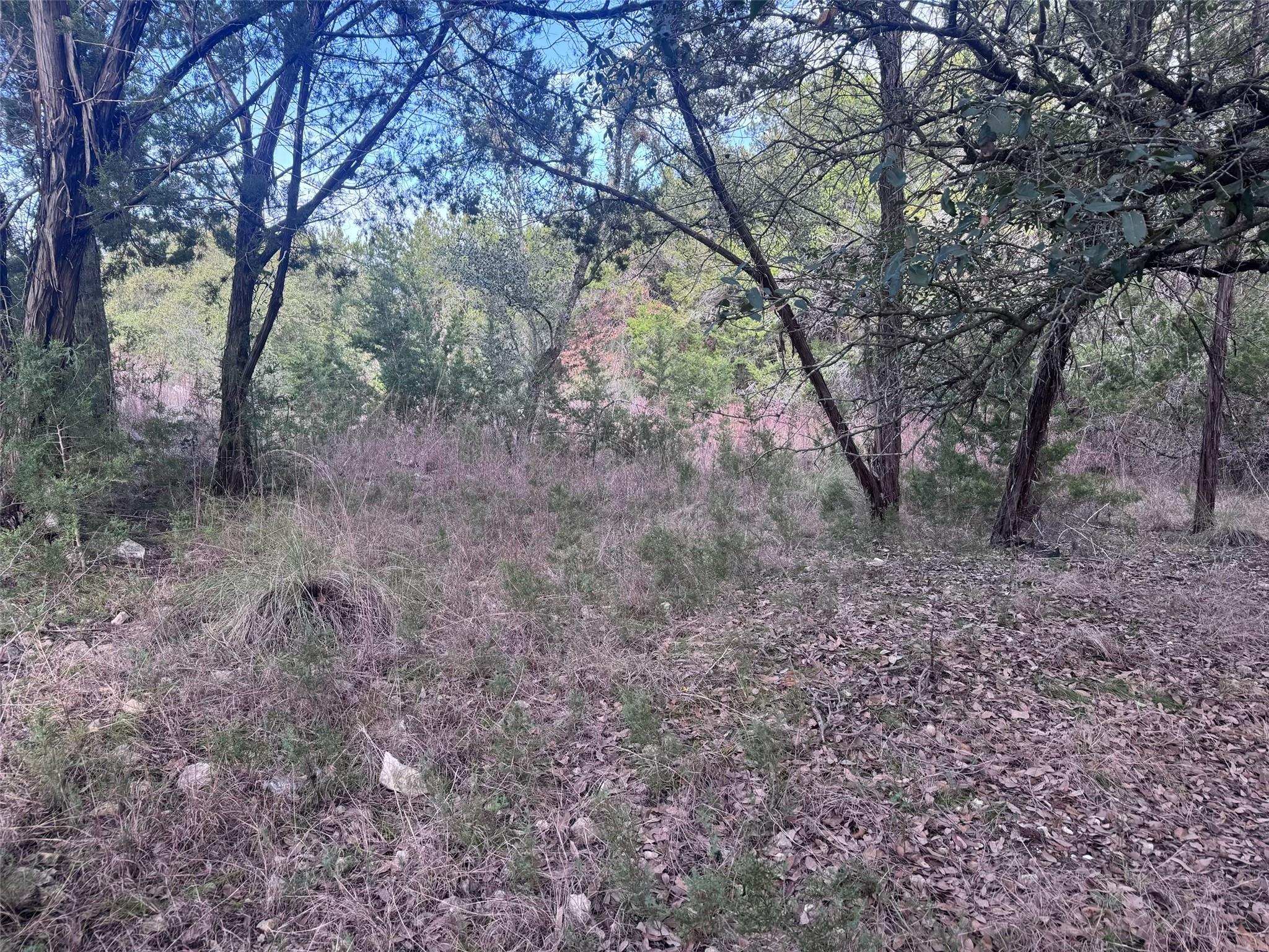 1803 Lipan Trl Property Photo 4