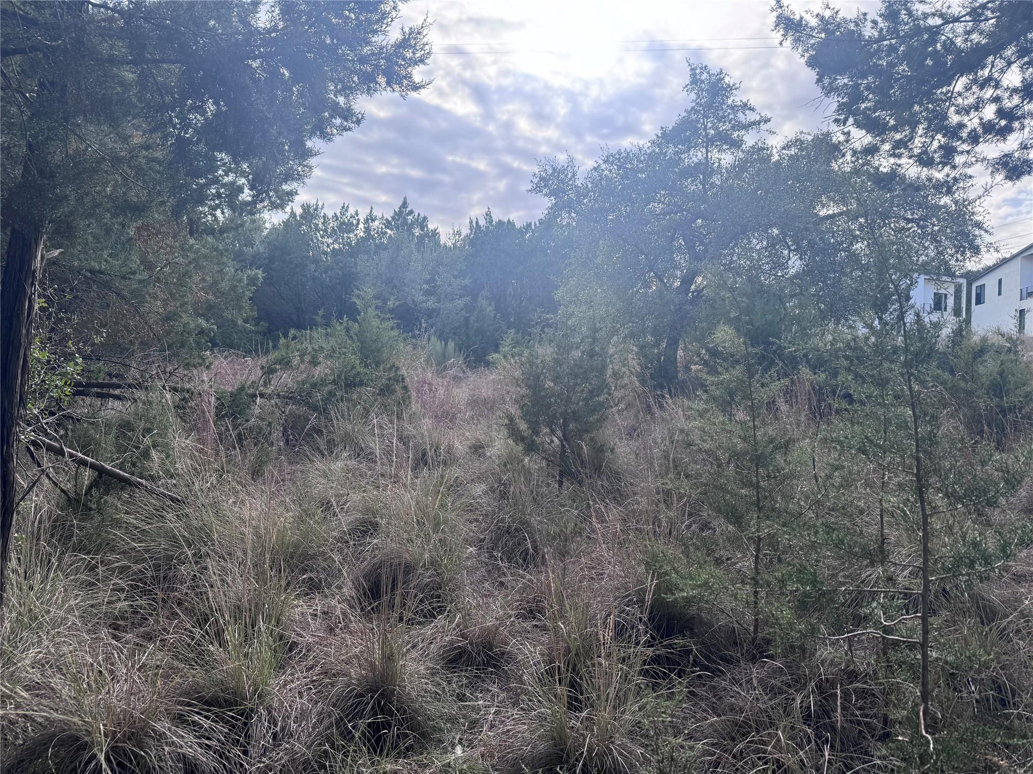 1803 Lipan Trl Property Photo 5