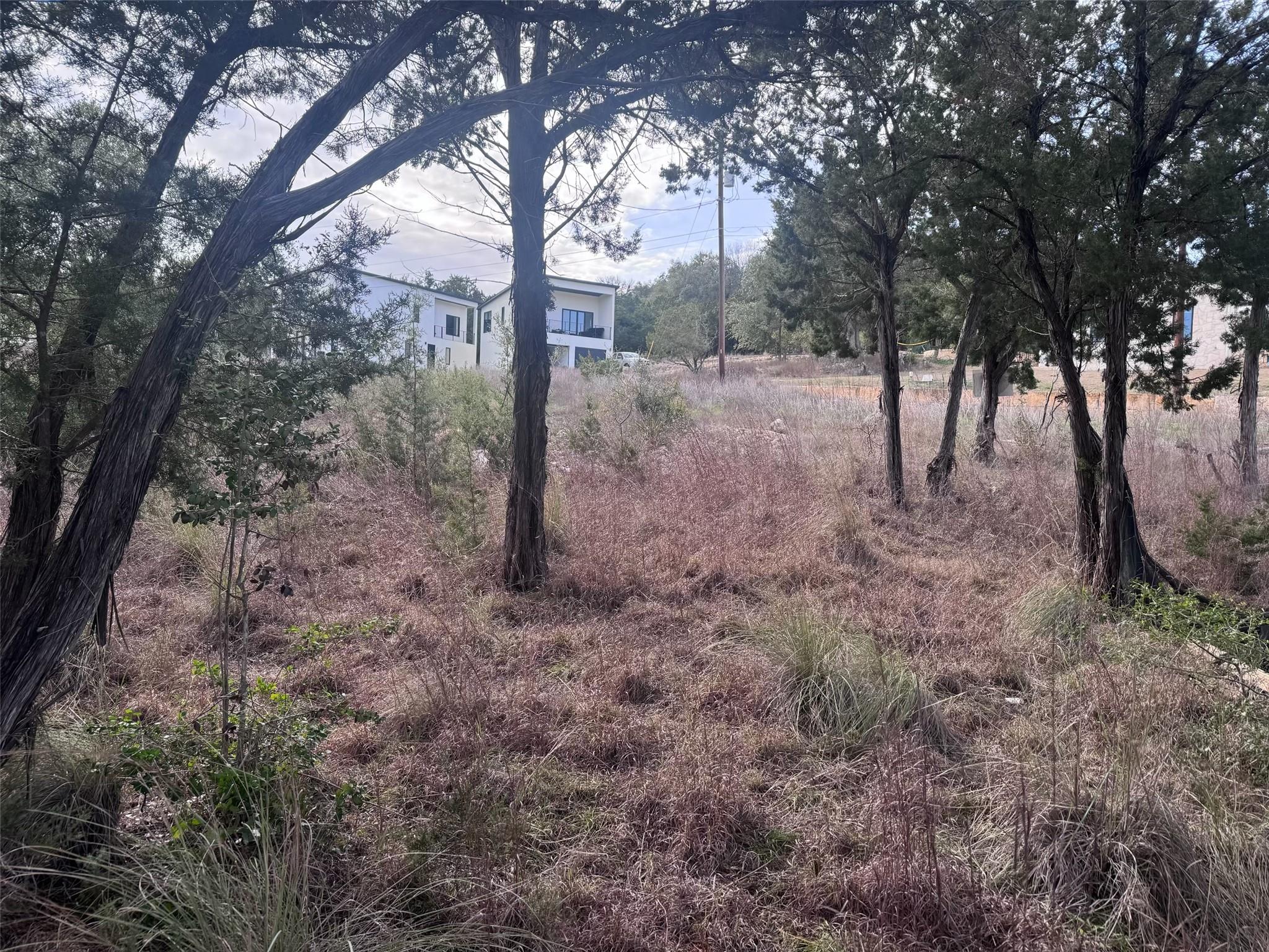 1803 Lipan Trl Property Photo 6