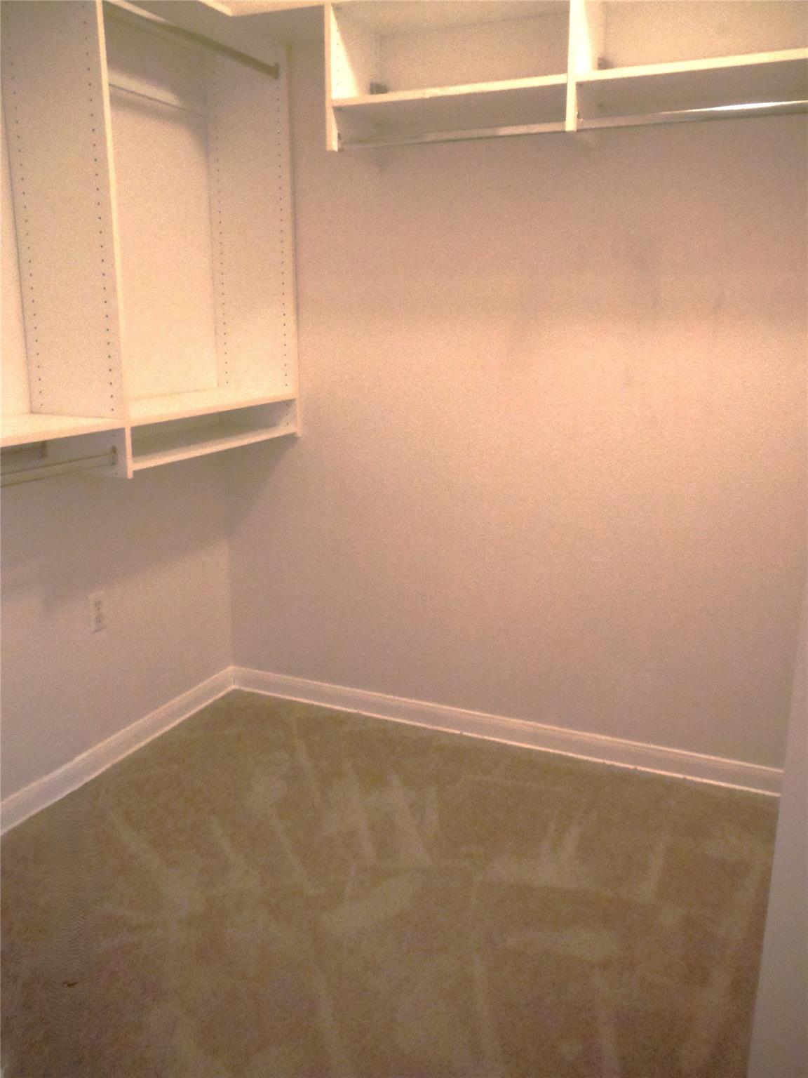103 Anemone Cir Property Photo 14