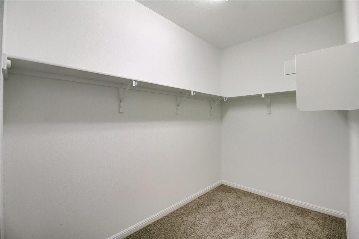 117 Lacey Oak Loop Property Photo 22
