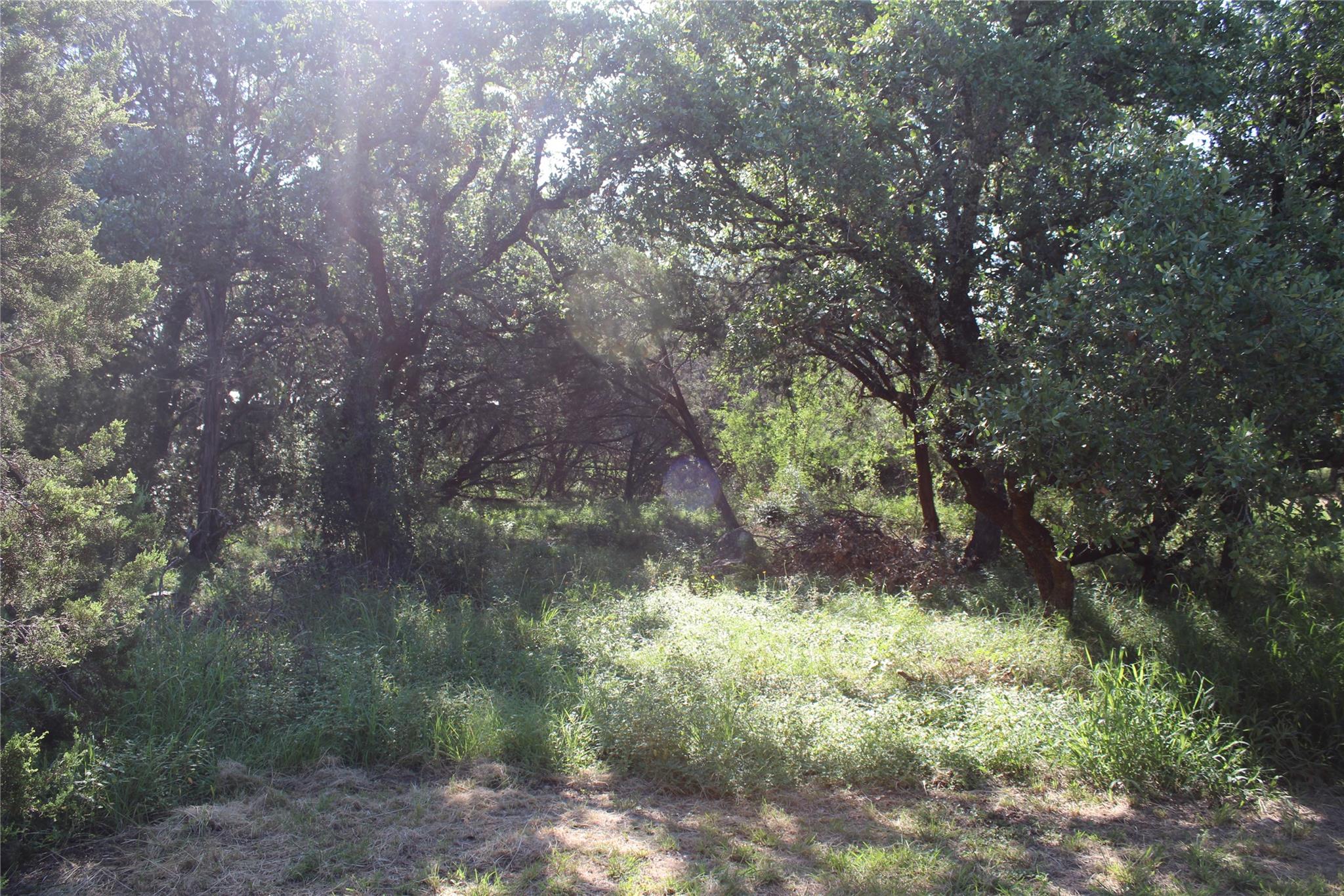 103 Miranda Ct Property Photo 7