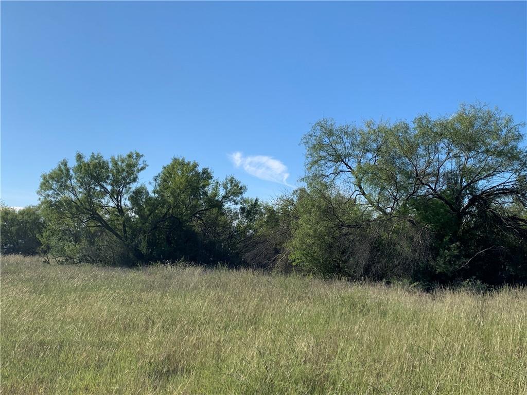 1900 Cisco Dr Property Photo 5