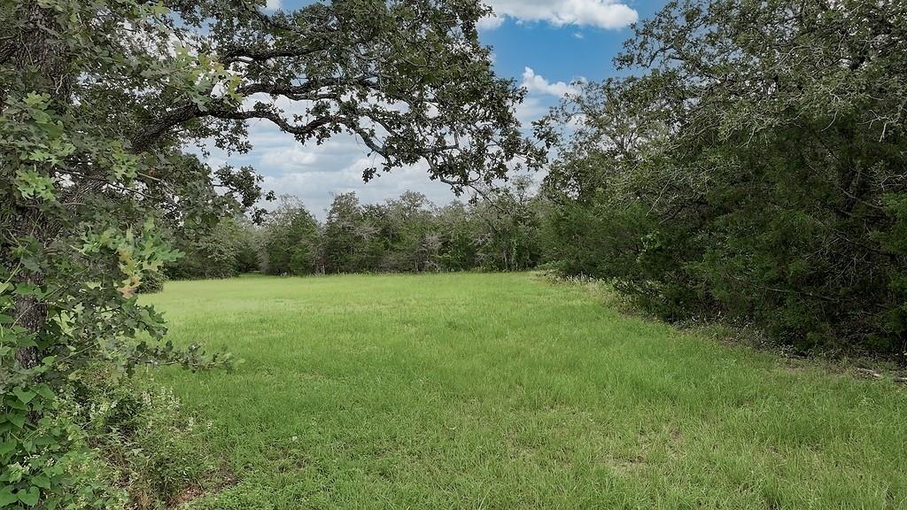 2625 Burke Rd Property Photo 6