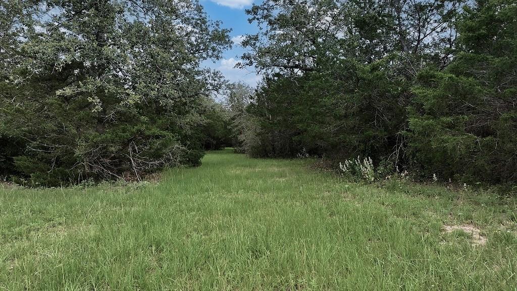 2625 Burke Rd Property Photo 9