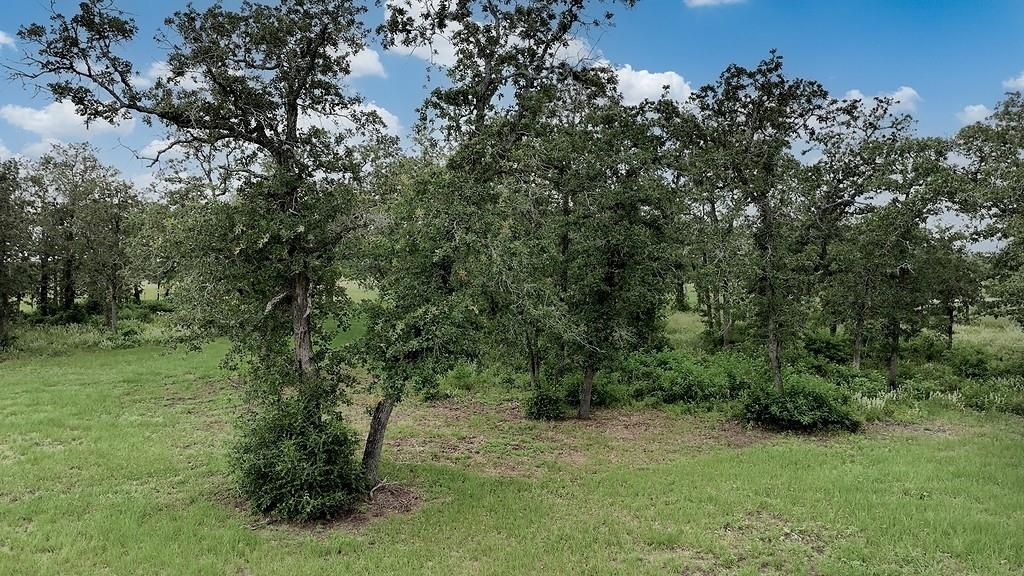 2625 Burke Rd Property Photo 12
