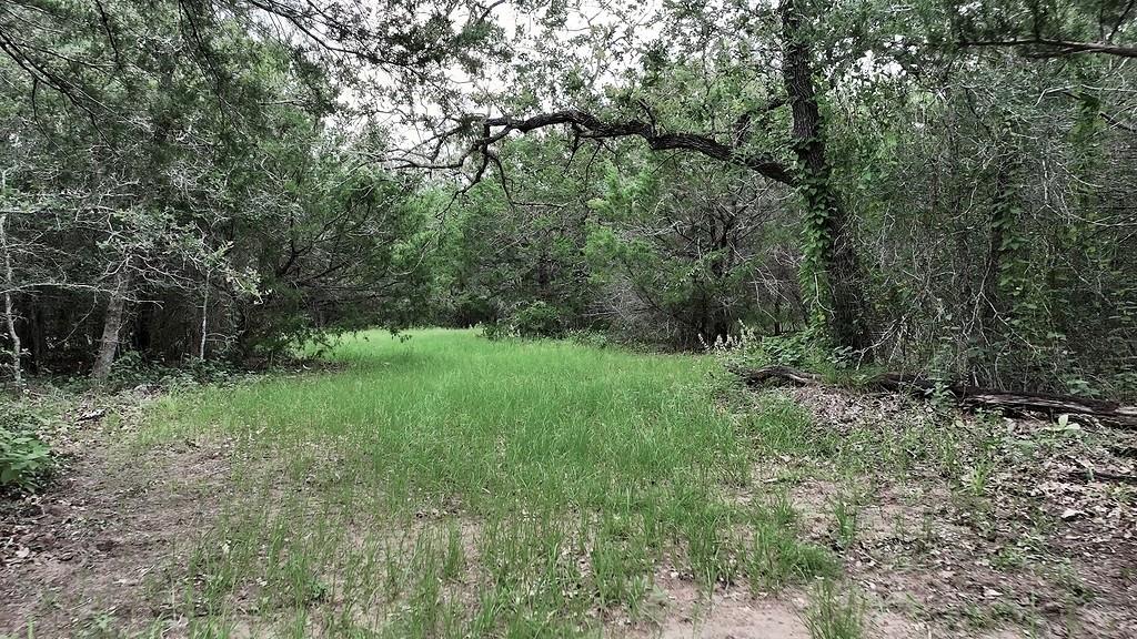 2625 Burke Rd Property Photo 13
