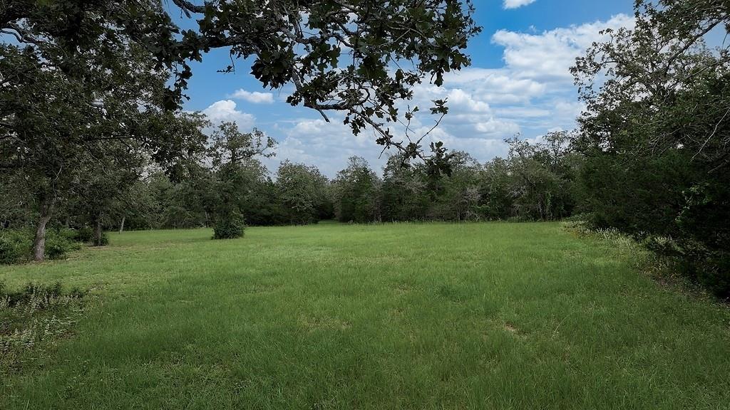 2625 Burke Rd Property Photo 14