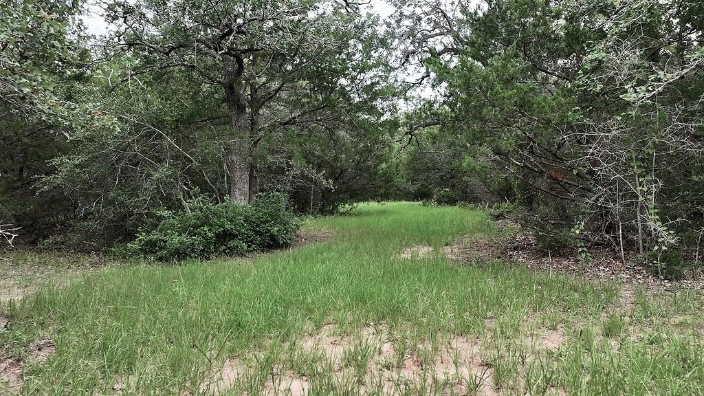 2625 Burke Rd Property Photo 15