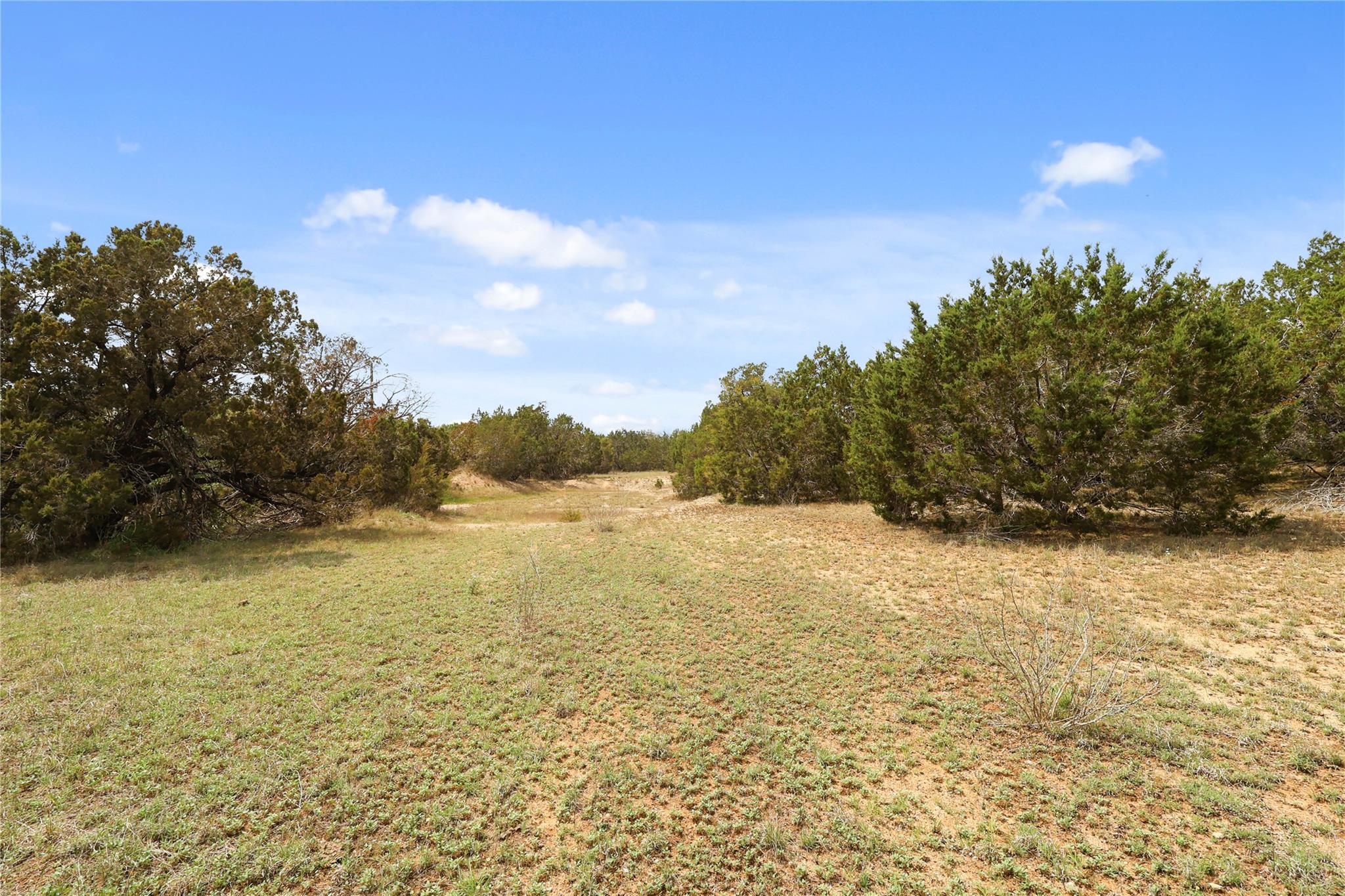 1371 County Road 281 None Property Photo 1