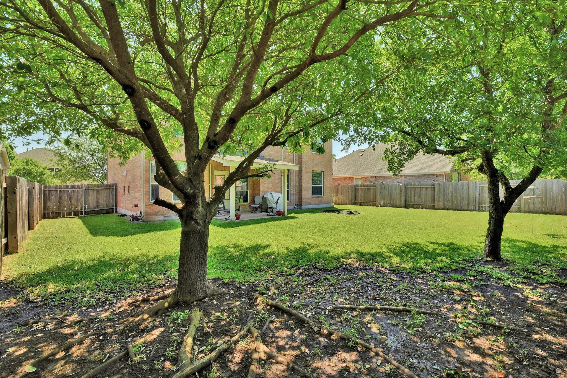 2629 Salorn Way Property Photo 31