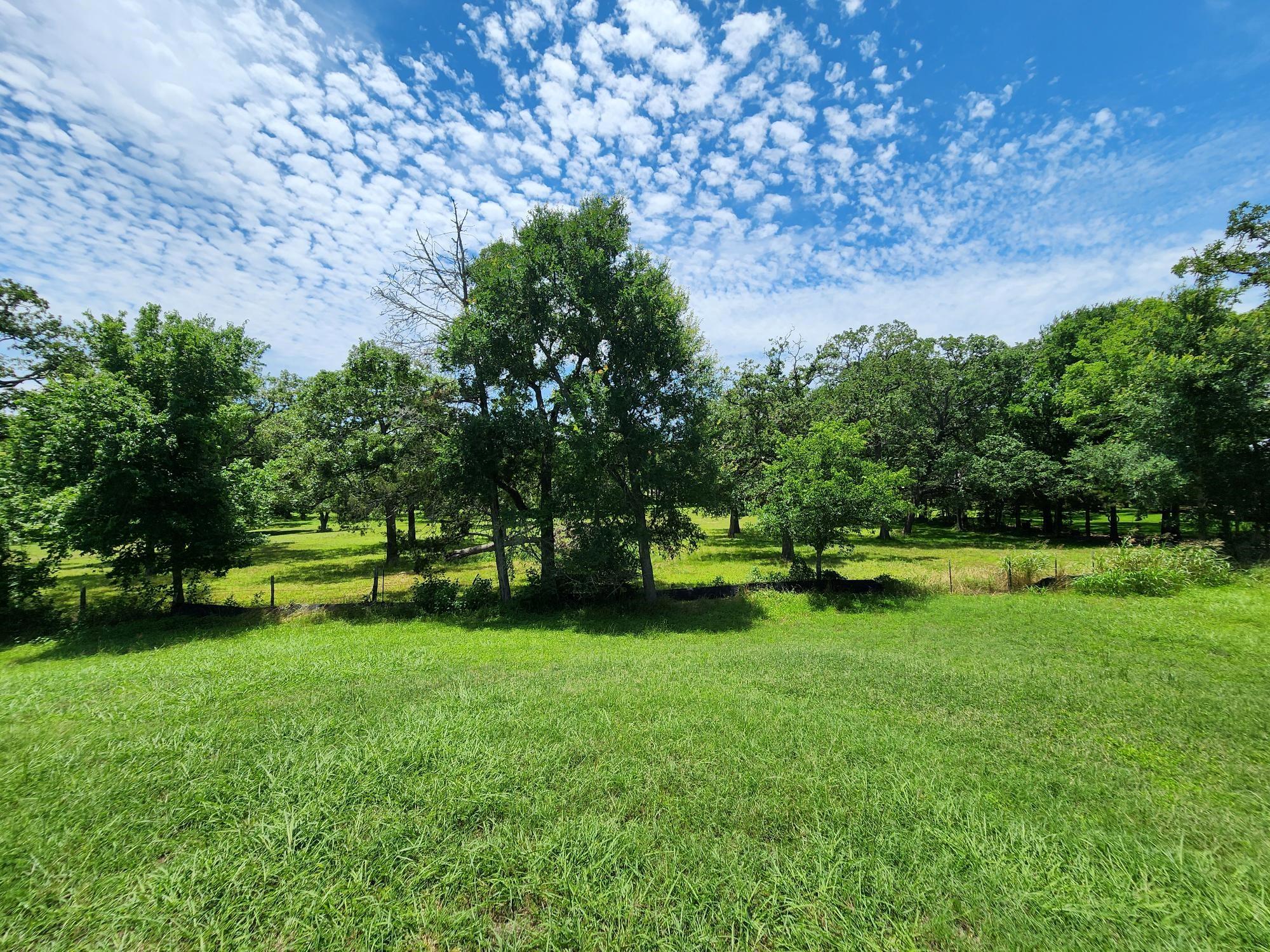 145 State Loop 92 Property Photo 6