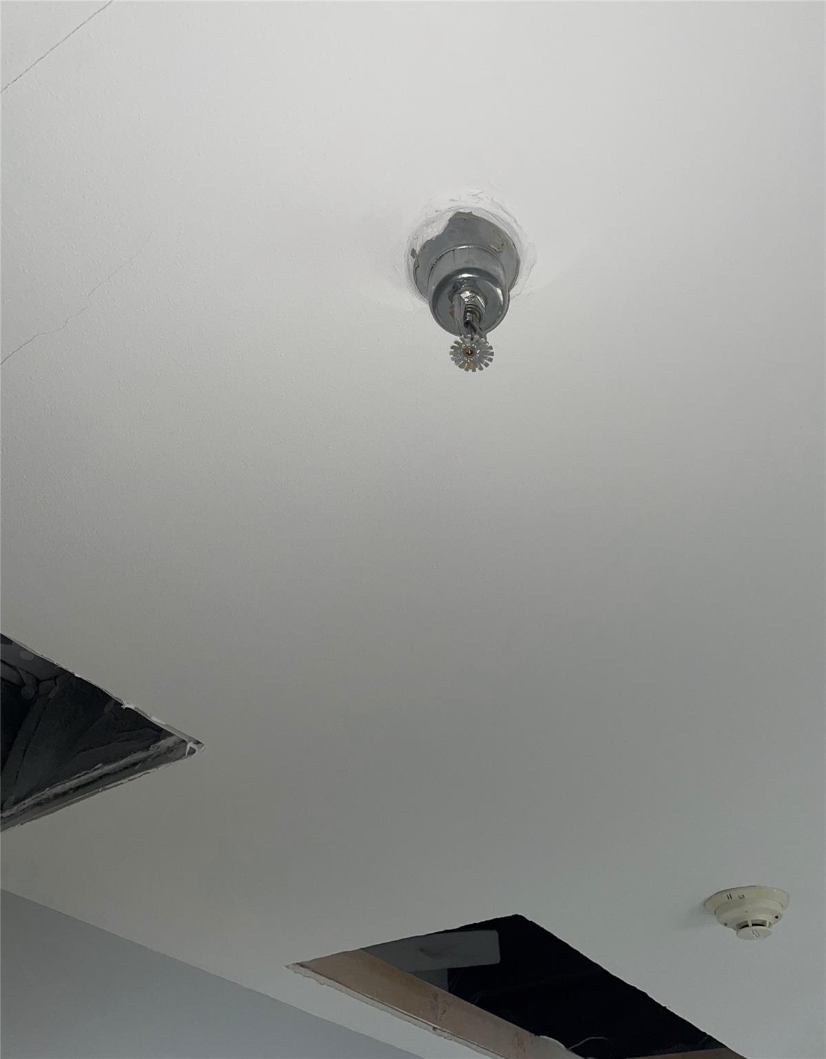 1405 W Storey St Property Photo 20