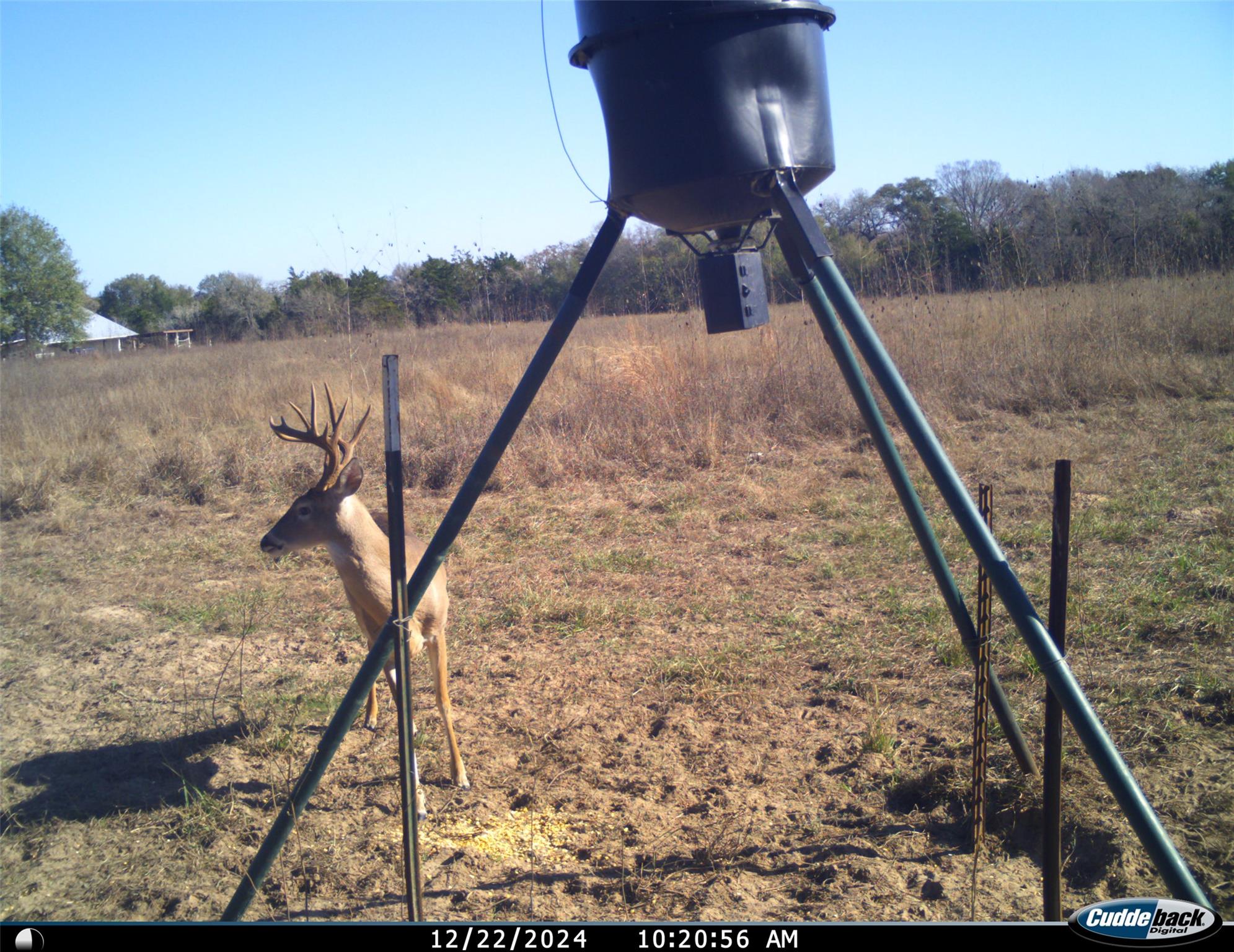 2204 West Old Lockhart Rd Property Photo 29
