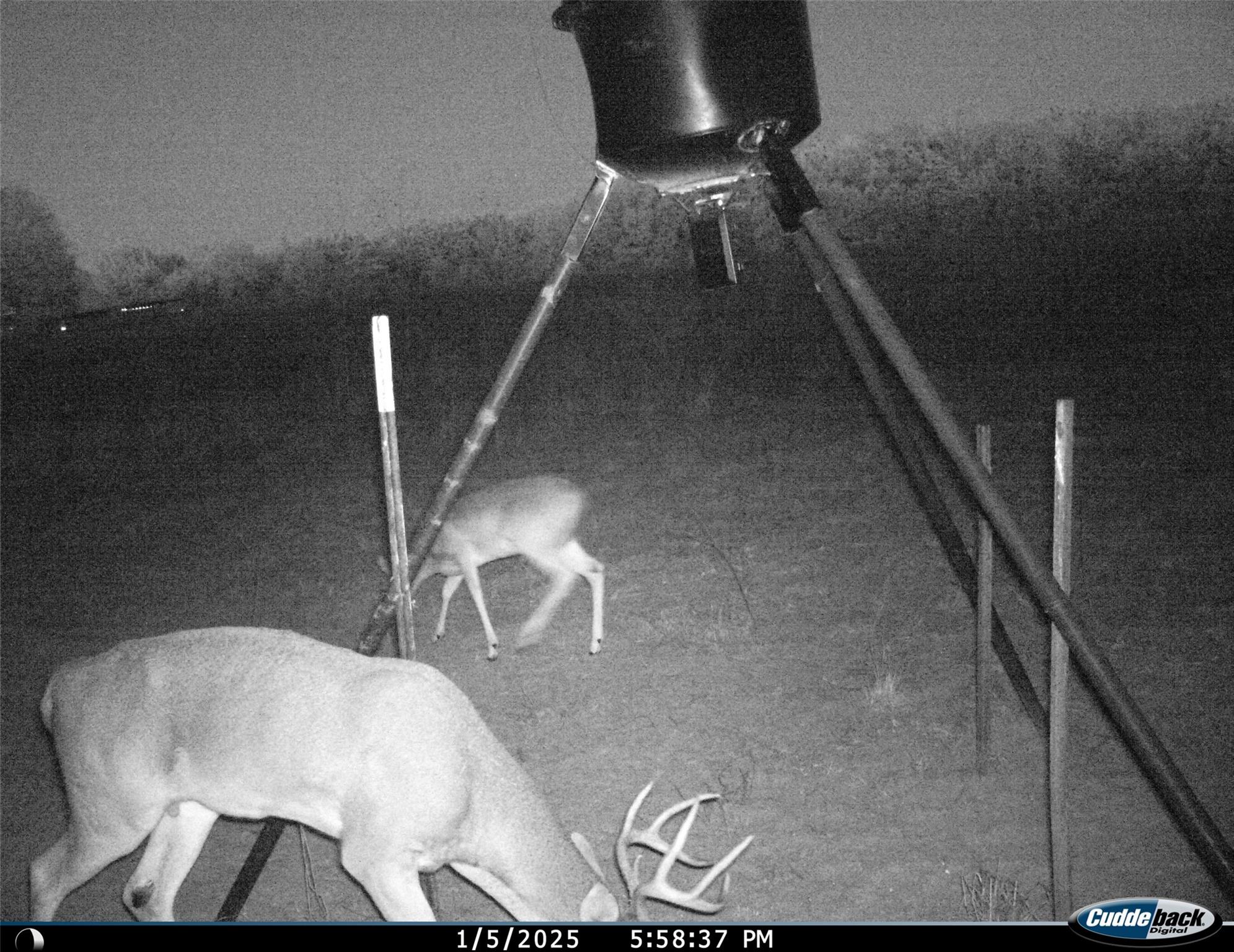 2204 West Old Lockhart Rd Property Photo 30