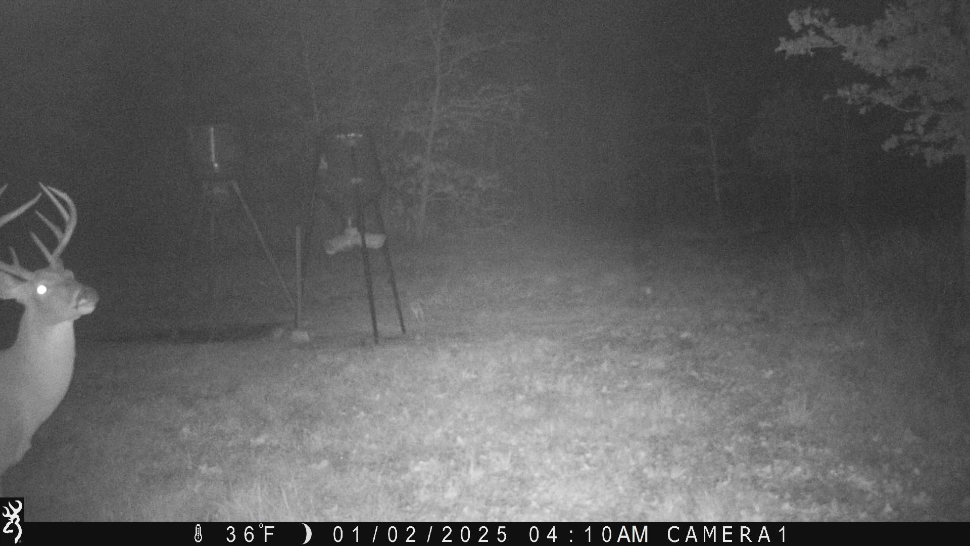 2204 West Old Lockhart Rd Property Photo 33