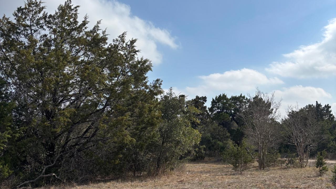 829a Castle Ridge Rd Property Photo 4