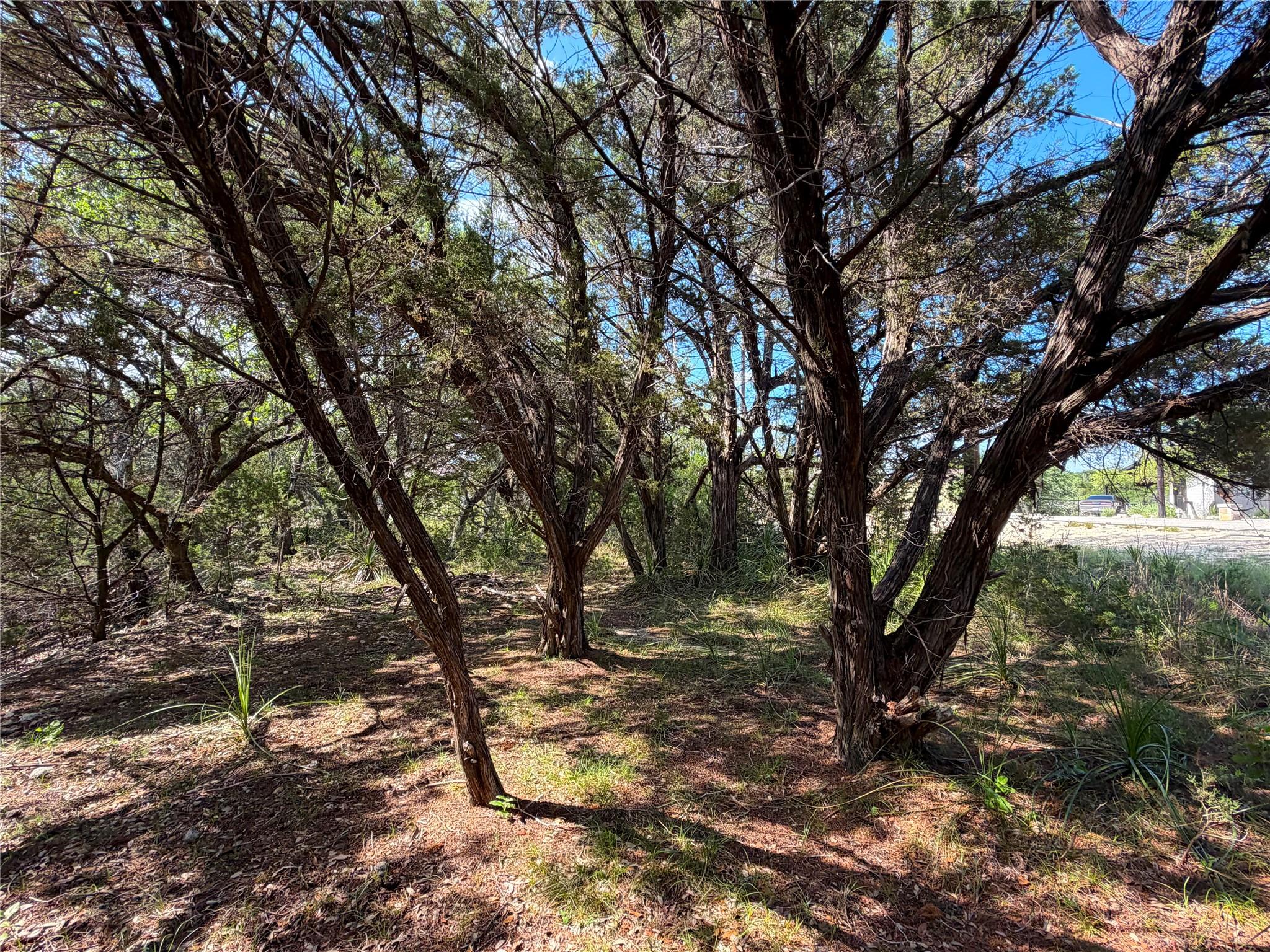 2021 Ronda Ct Property Photo 4