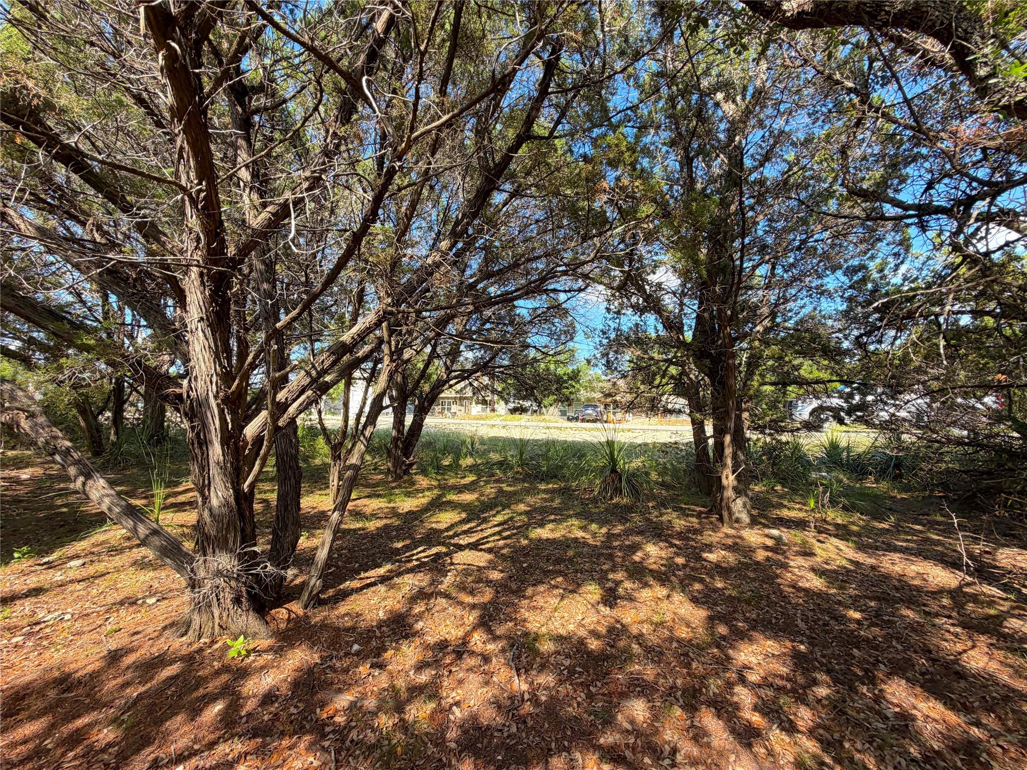 2021 Ronda Ct Property Photo 5