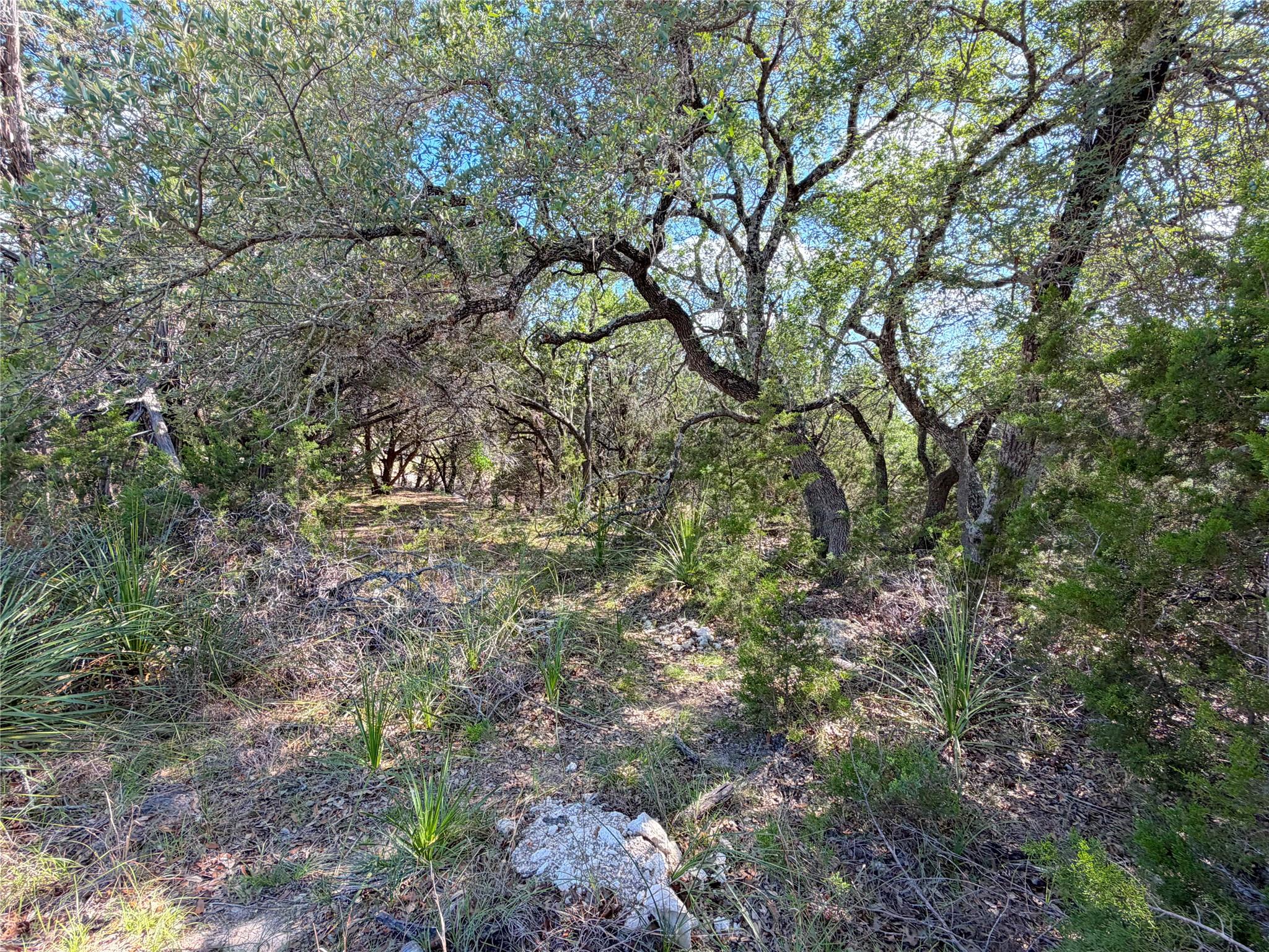 2021 Ronda Ct Property Photo 7