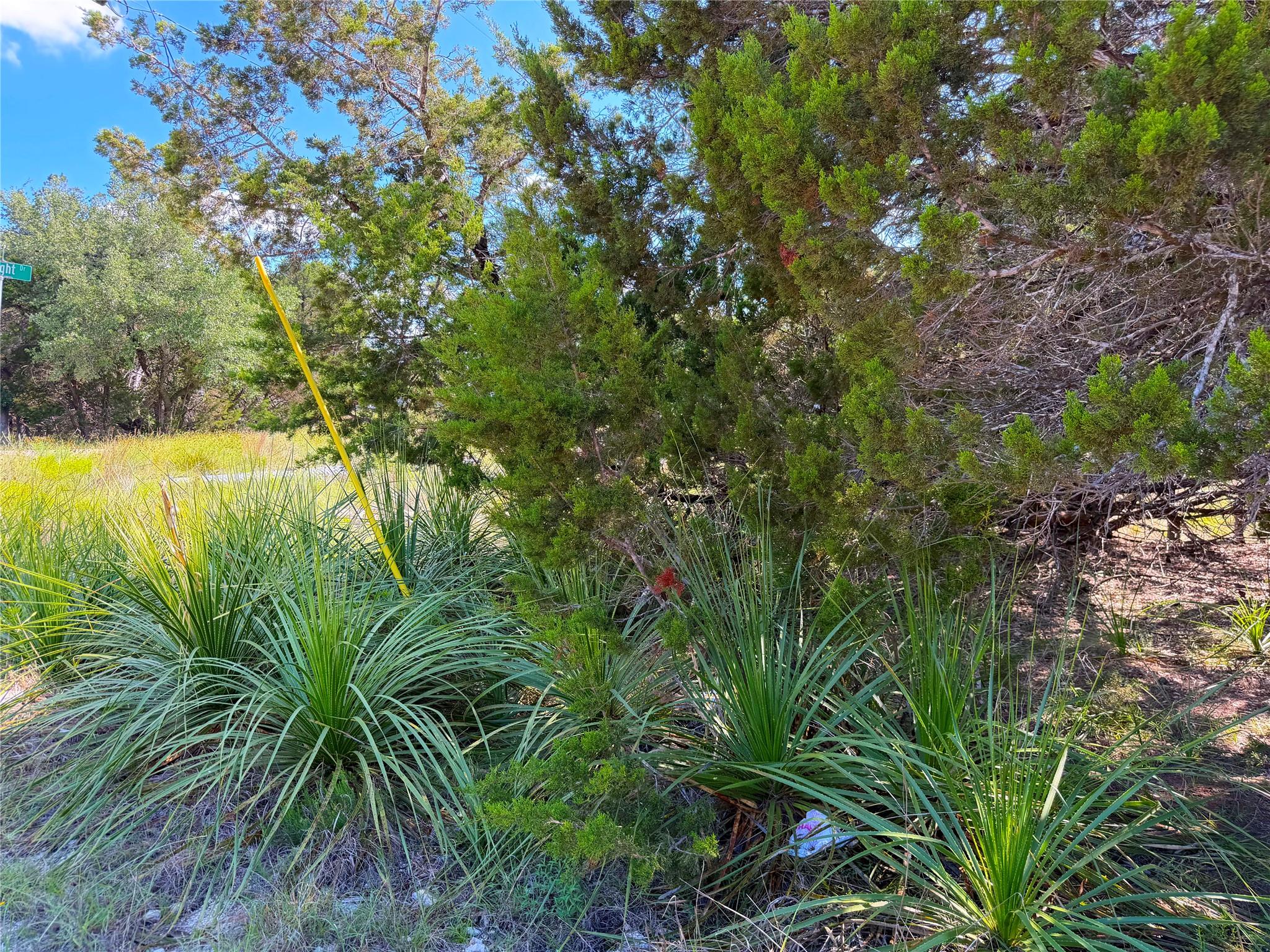 2021 Ronda Ct Property Photo 8