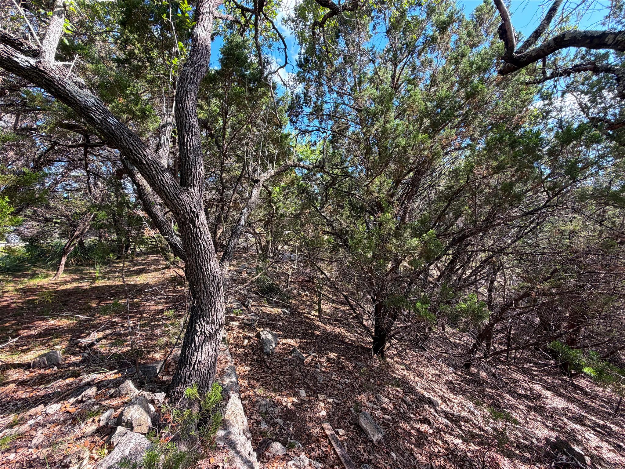 2021 Ronda Ct Property Photo 13
