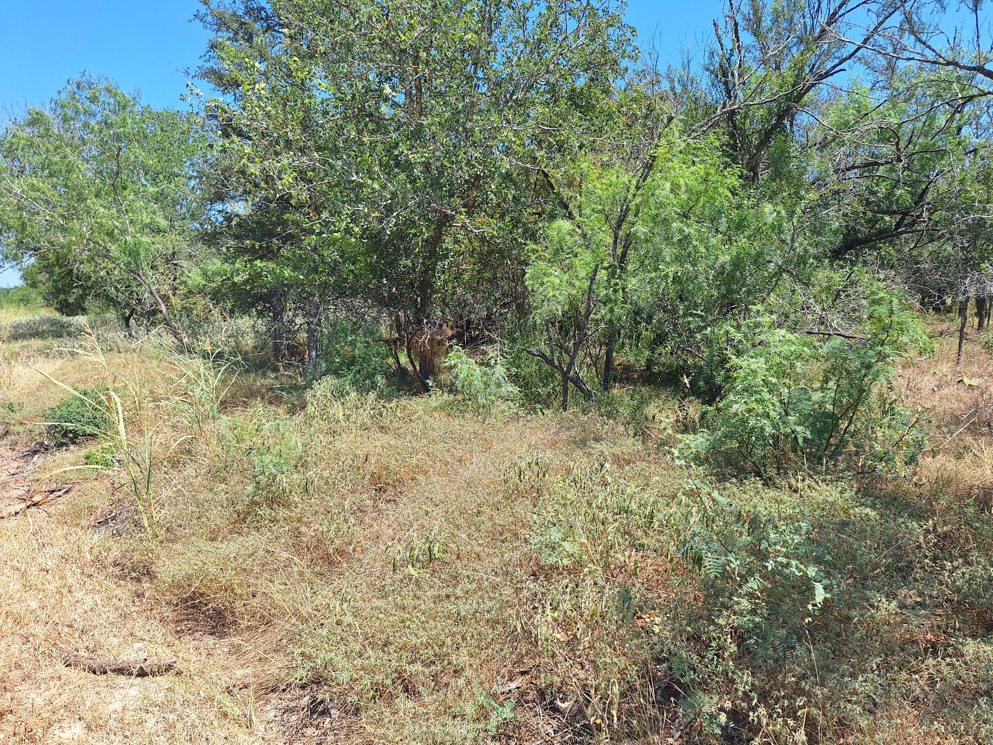 Lot 1112 Kawanui Dr Property Photo 3