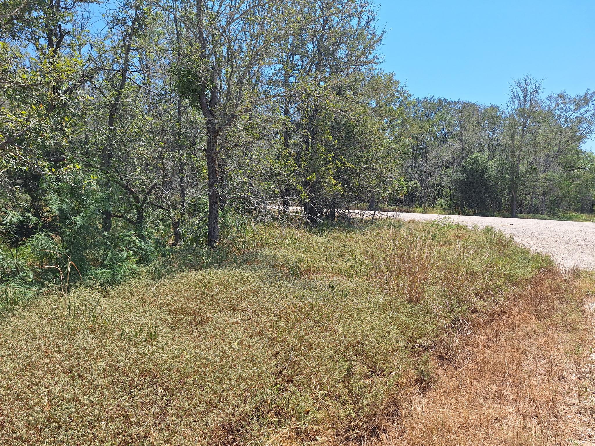 Lot 1112 Kawanui Dr Property Photo 8