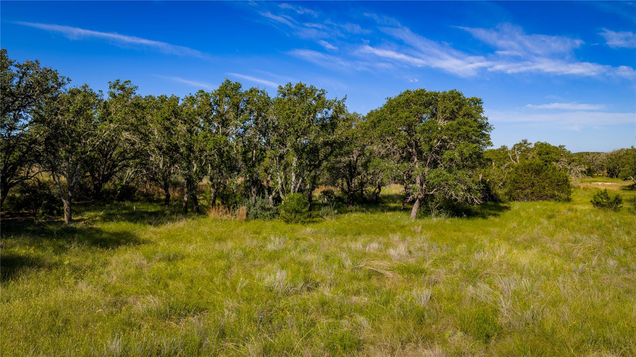 3276 Link Rd Property Photo 5