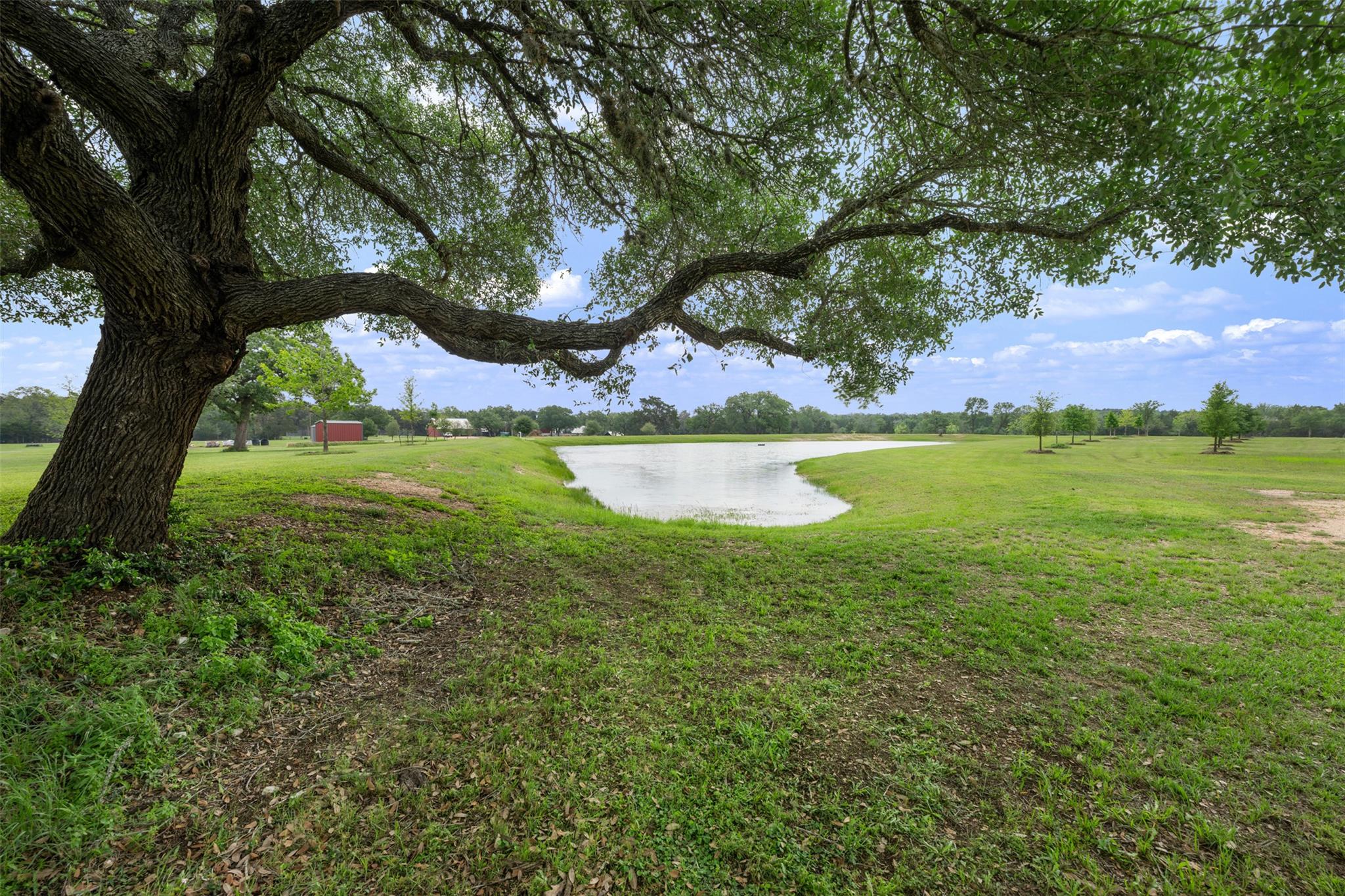 1304 E State Highway 71 None Property Photo 4