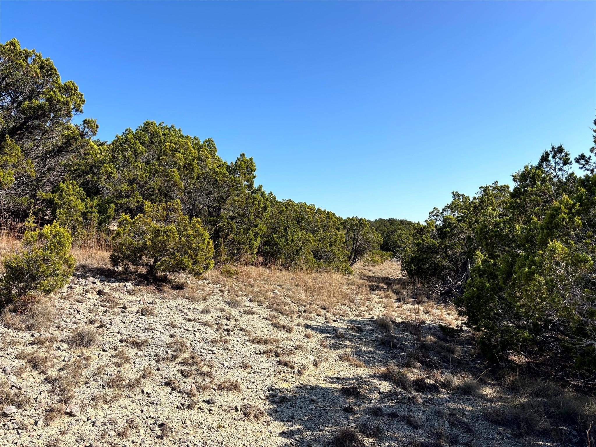 21924 Nameless Rd Property Photo 6